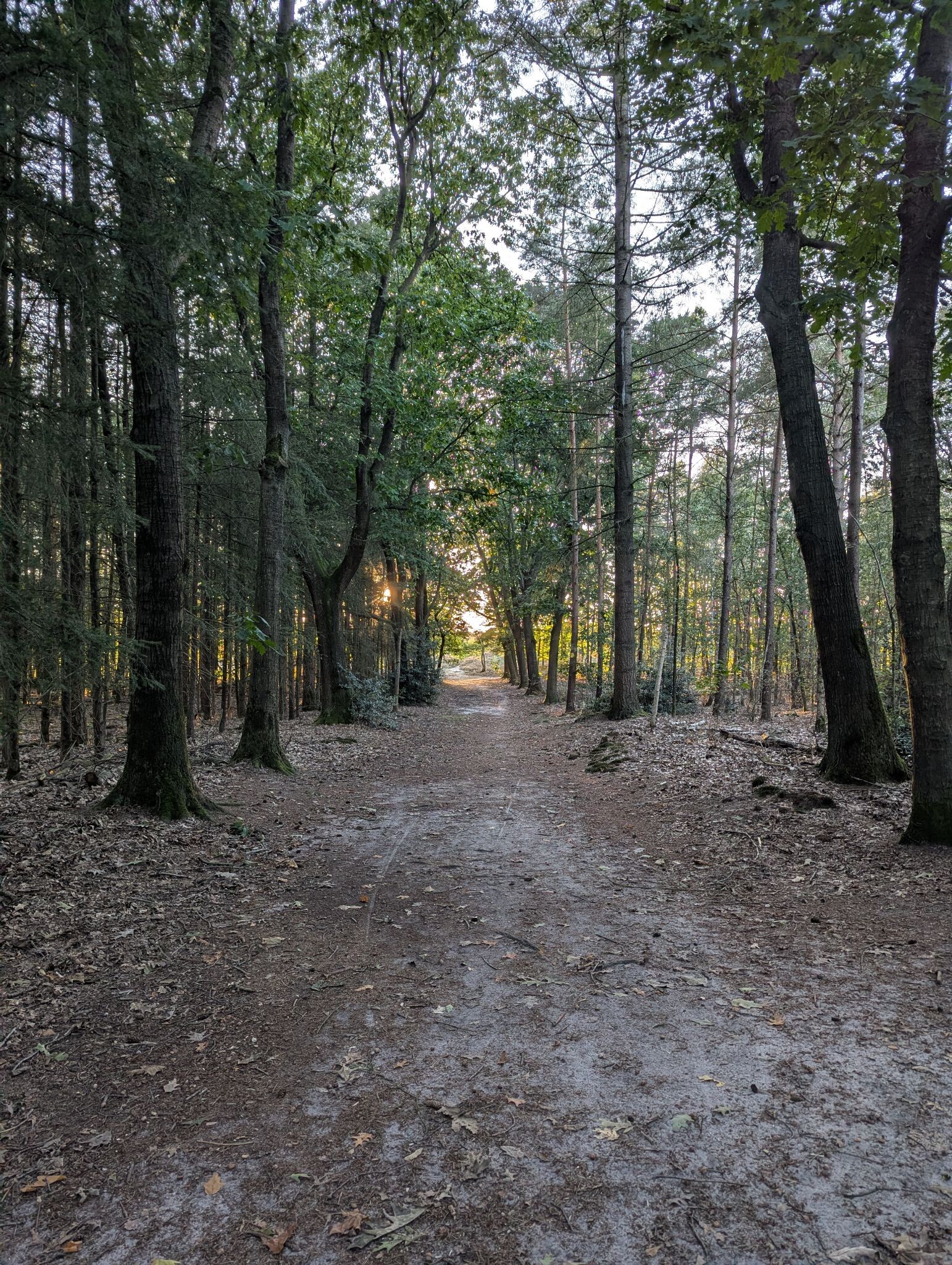 Foto van opname