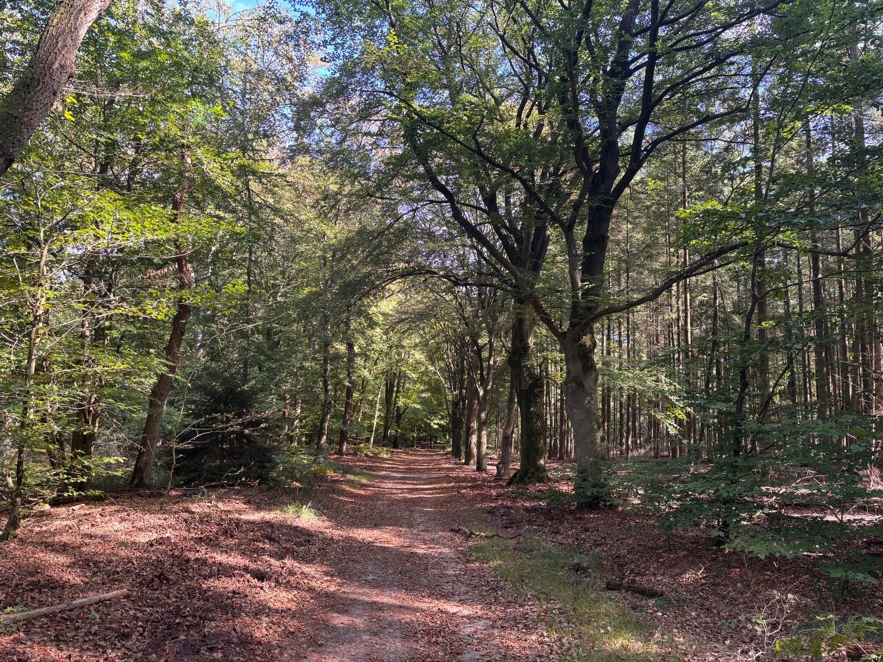 Loenen