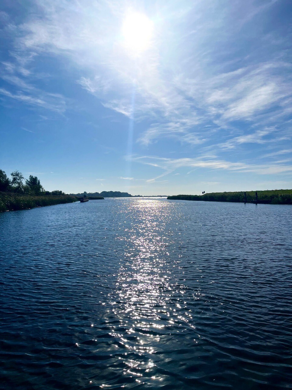 Vollenhove - Paars