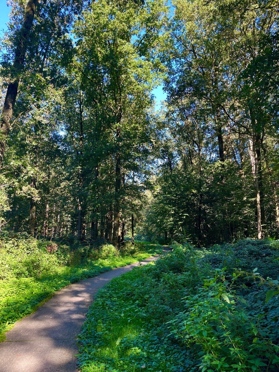 Genemuiden - Vollenhove · Zuiderzeepad etappe 17