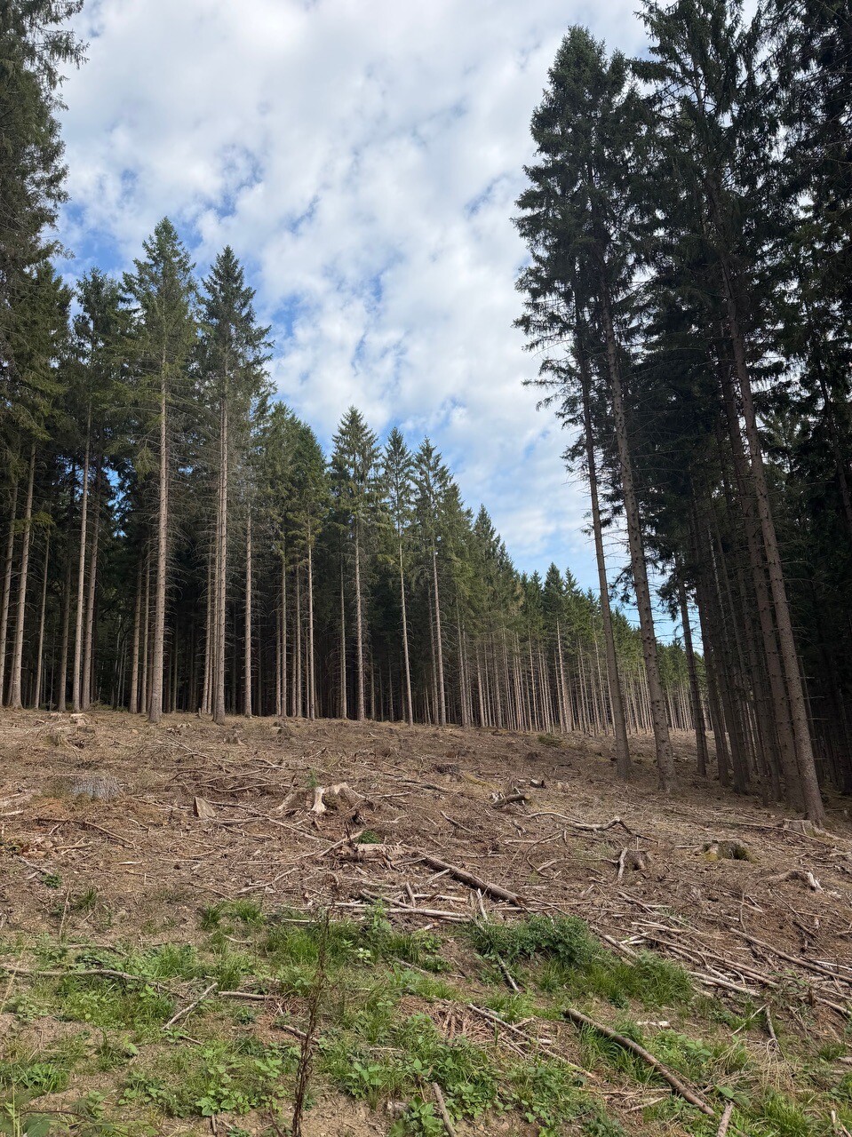 Kornelimünster - Roetgen · Eifelsteig etappe 1