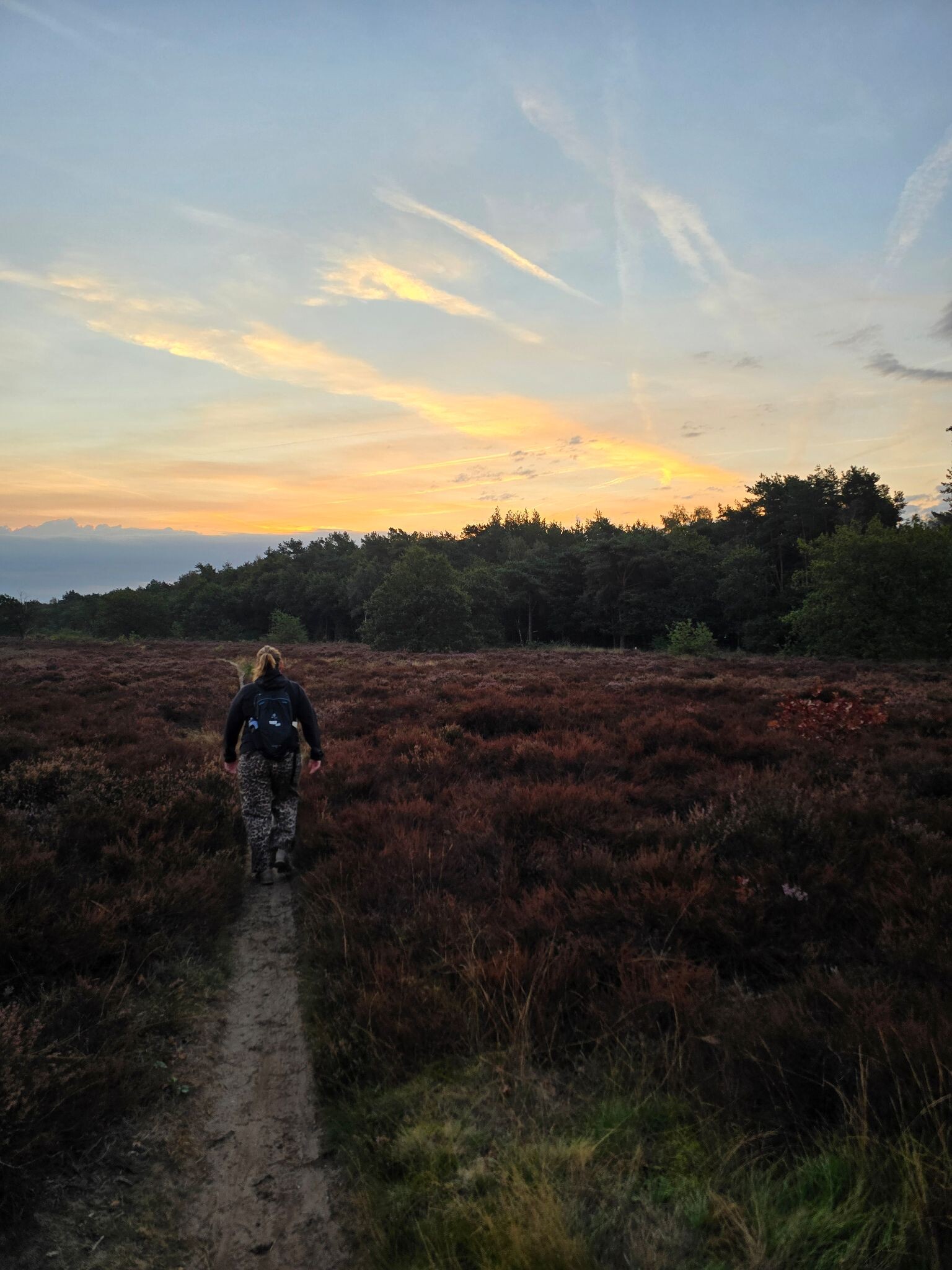 Putten - Leuvenum · Veluwe Zwerfpad etappe 8