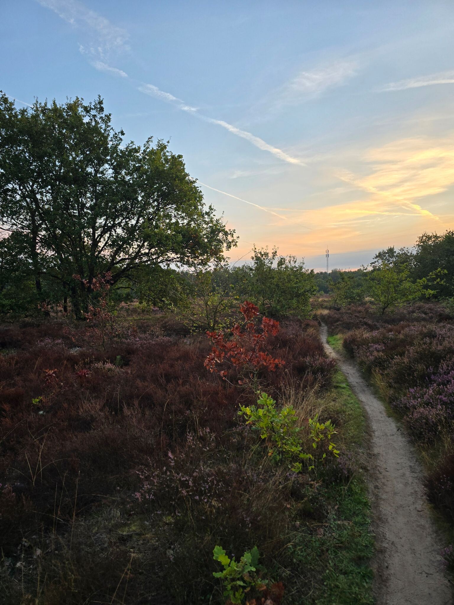 Putten - Leuvenum · Veluwe Zwerfpad etappe 8