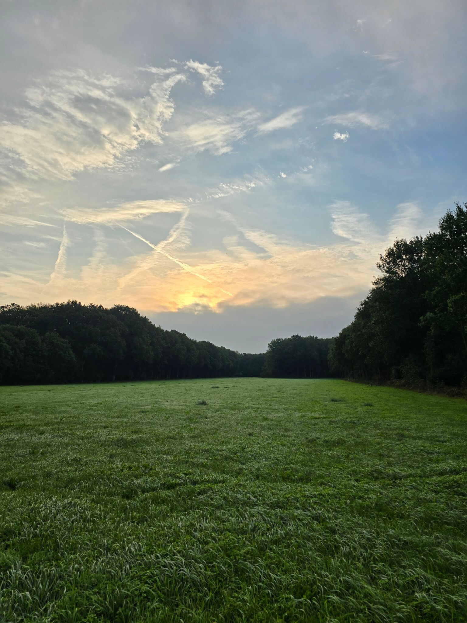 Putten - Leuvenum · Veluwe Zwerfpad etappe 8