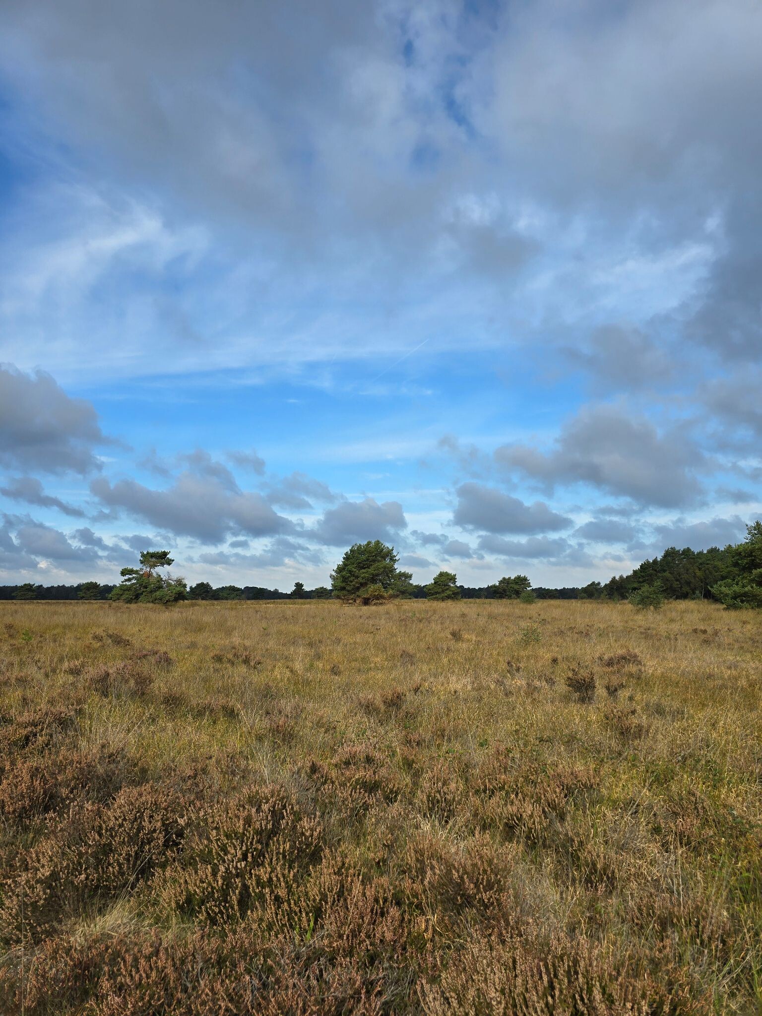 Garderen - Elspeet (Doorsteek 1) · Veluwe Zwerfpad etappe 20