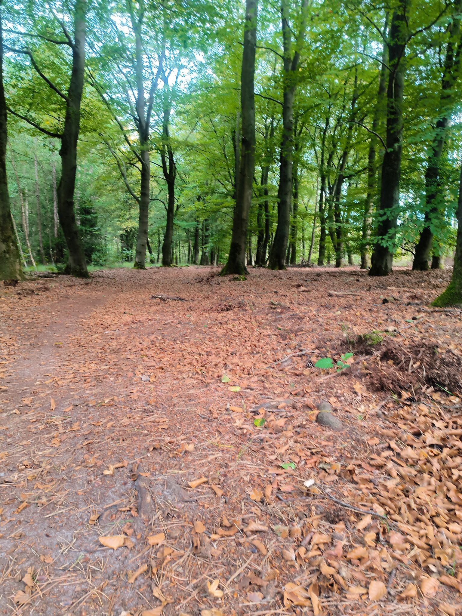 Route op de kaart wijkt op een gegeven moment af van de paaltjes.