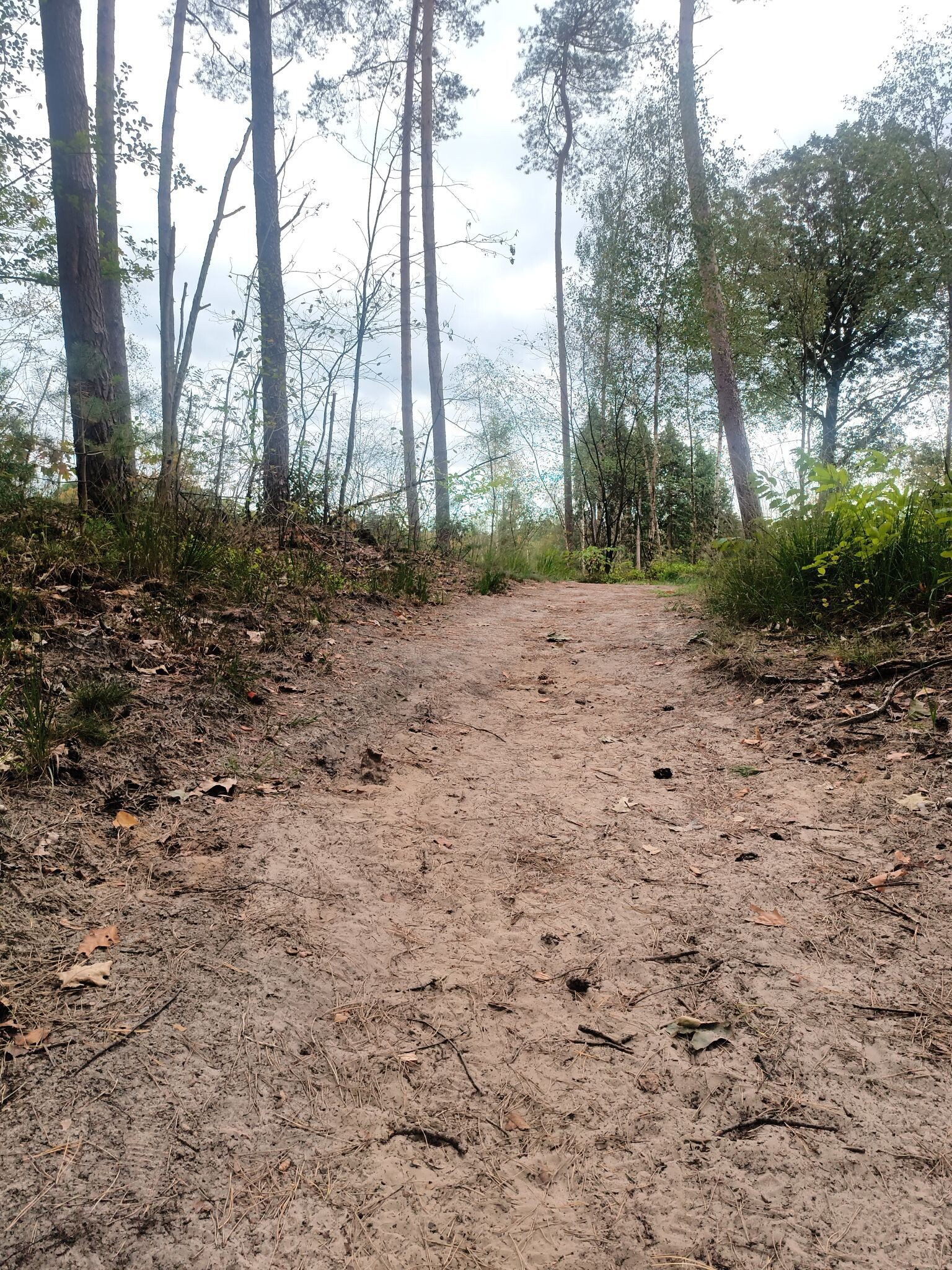 Route op de kaart wijkt op een gegeven moment af van de paaltjes.