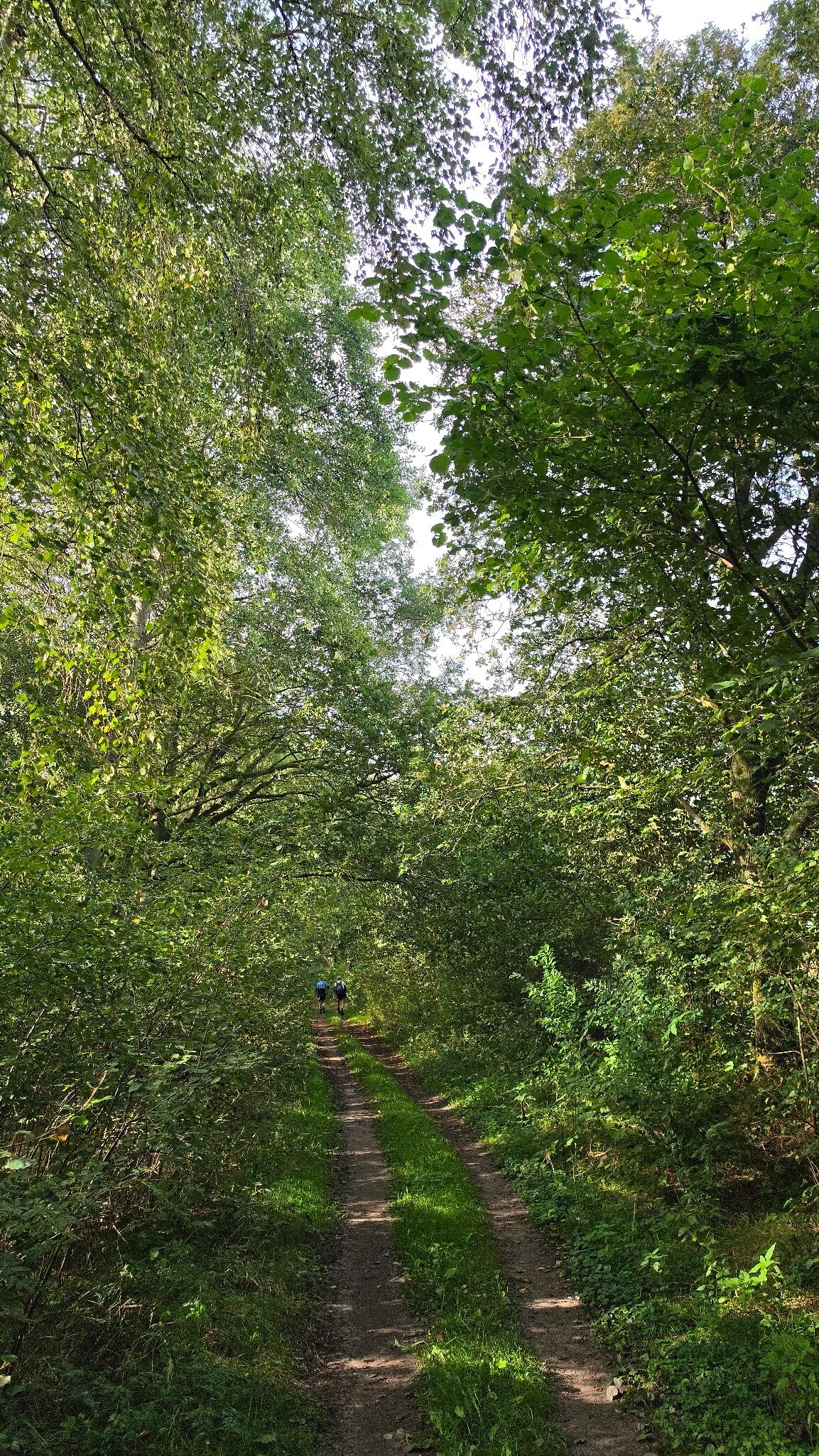 Kort rondje door de natuur