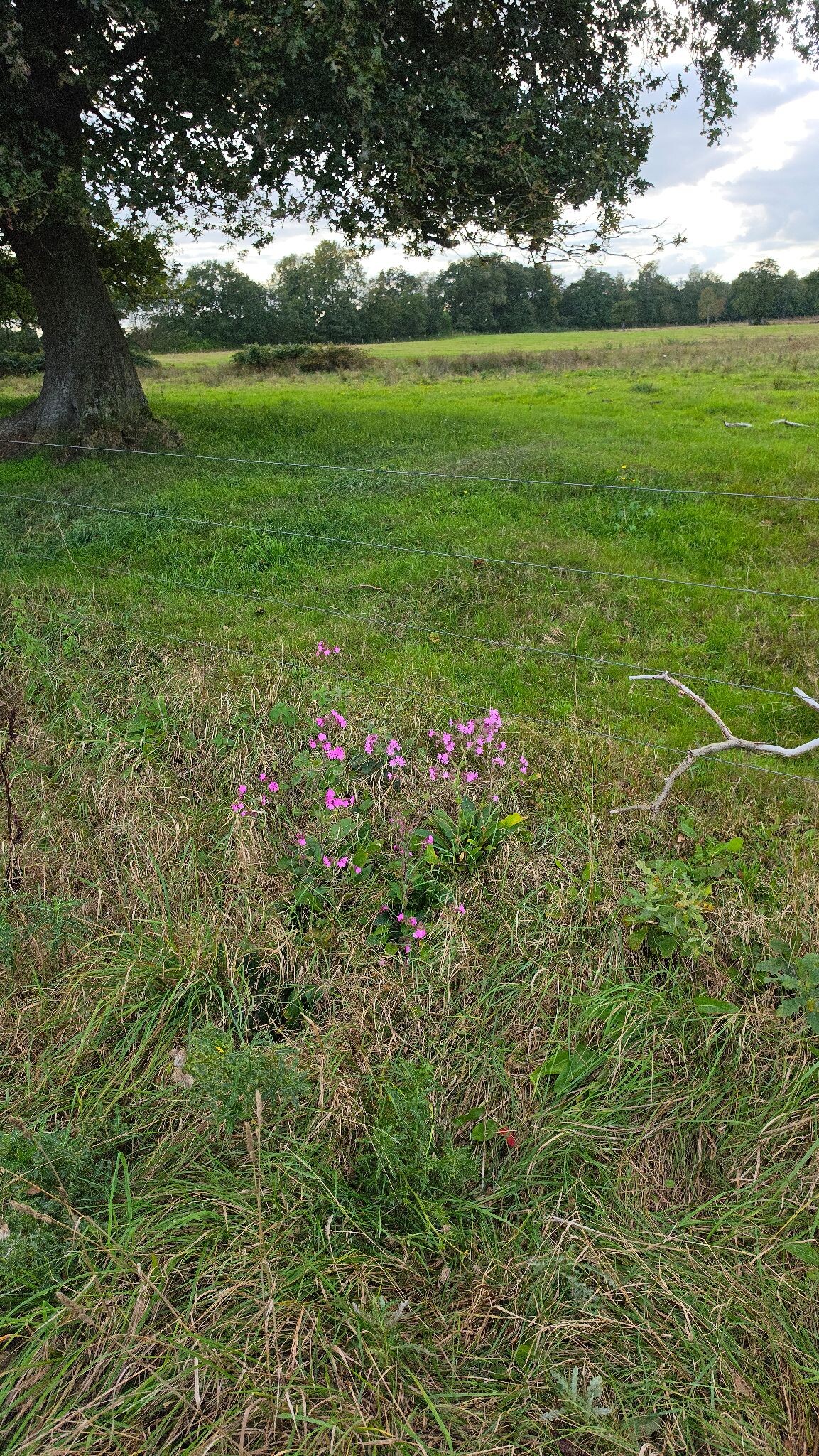 Kort rondje door de natuur