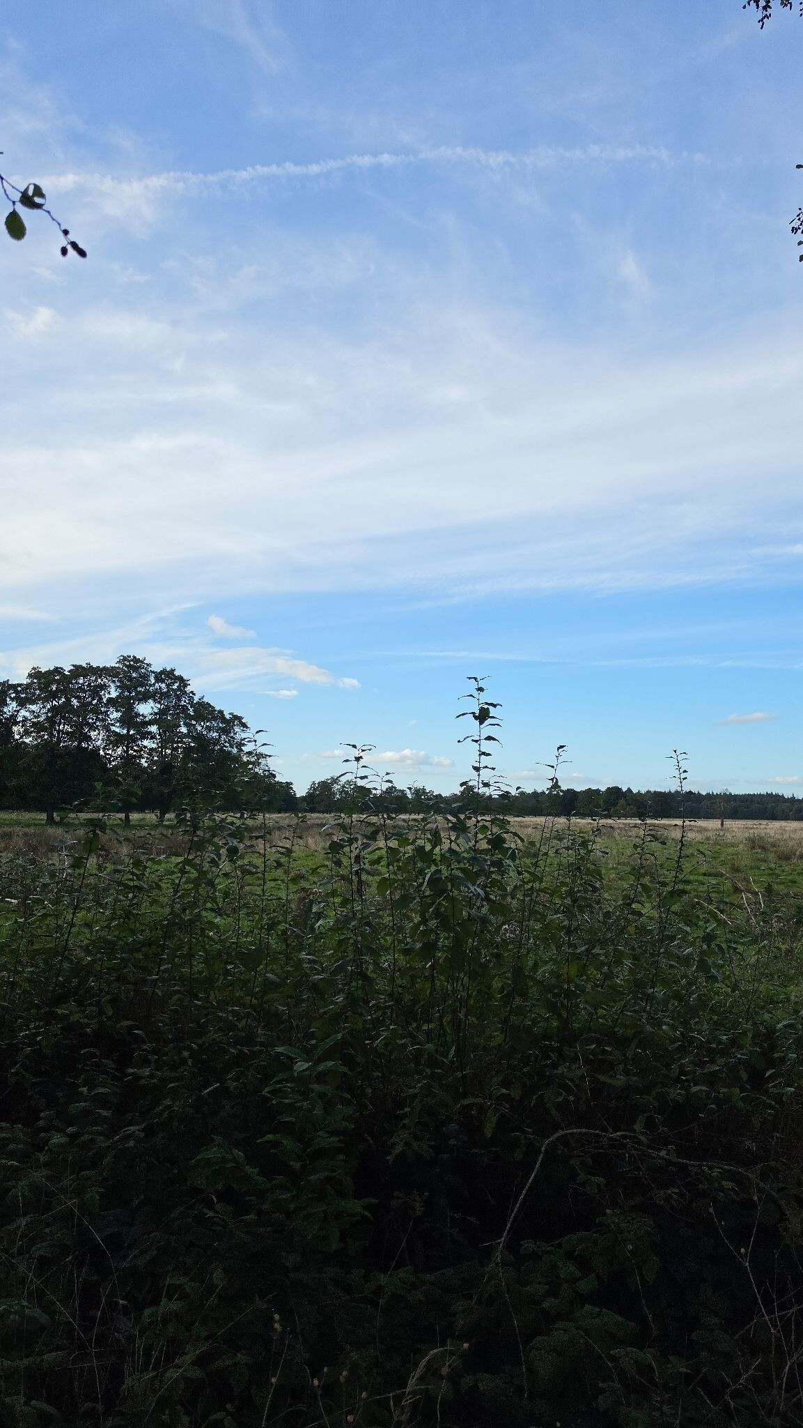 Kort rondje door de natuur