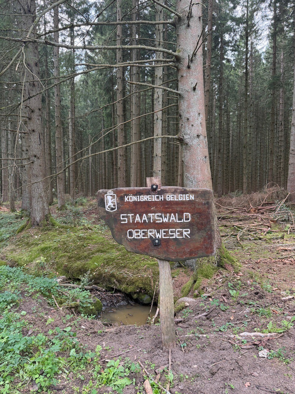 Roetgen - Monschau · Eifelsteig etappe 2
