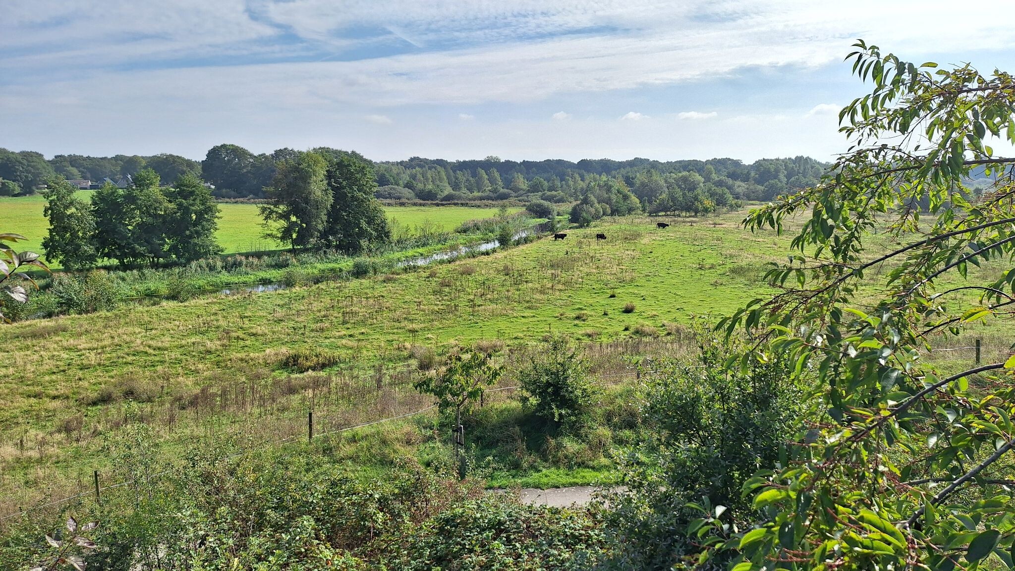 Oud Bergentheim - Oranje