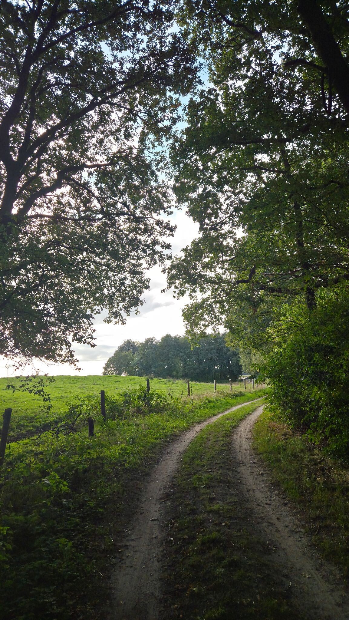 Wandelroute Andersche Diep