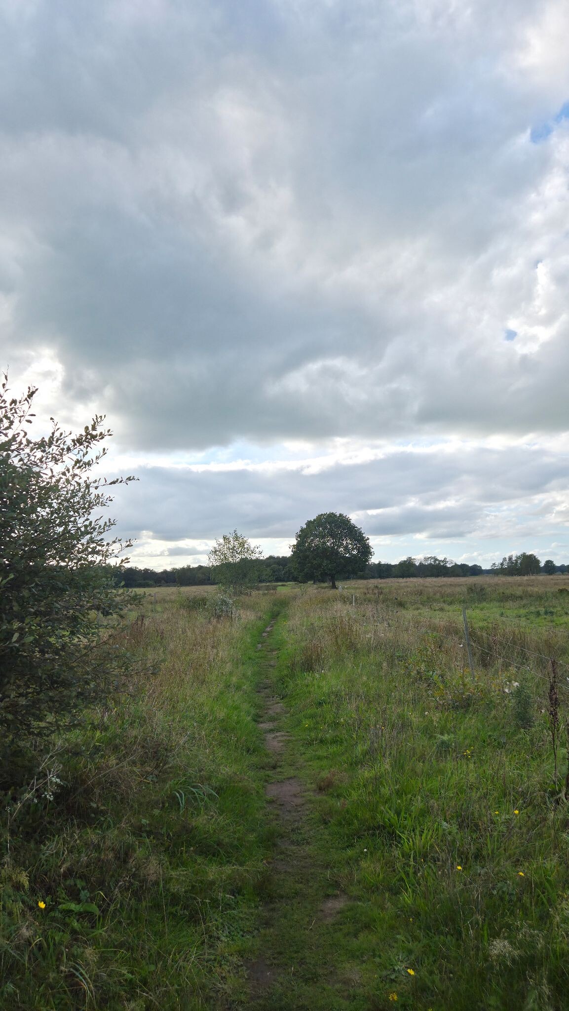 Wandelroute Andersche Diep