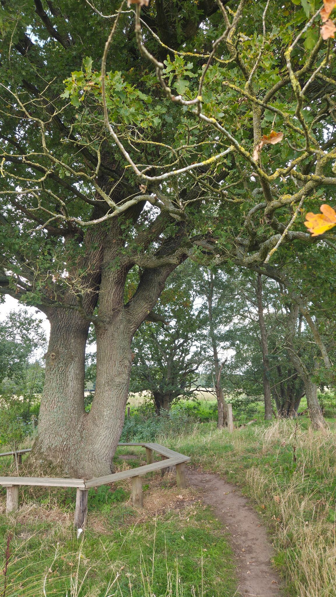 Wandelroute Andersche Diep