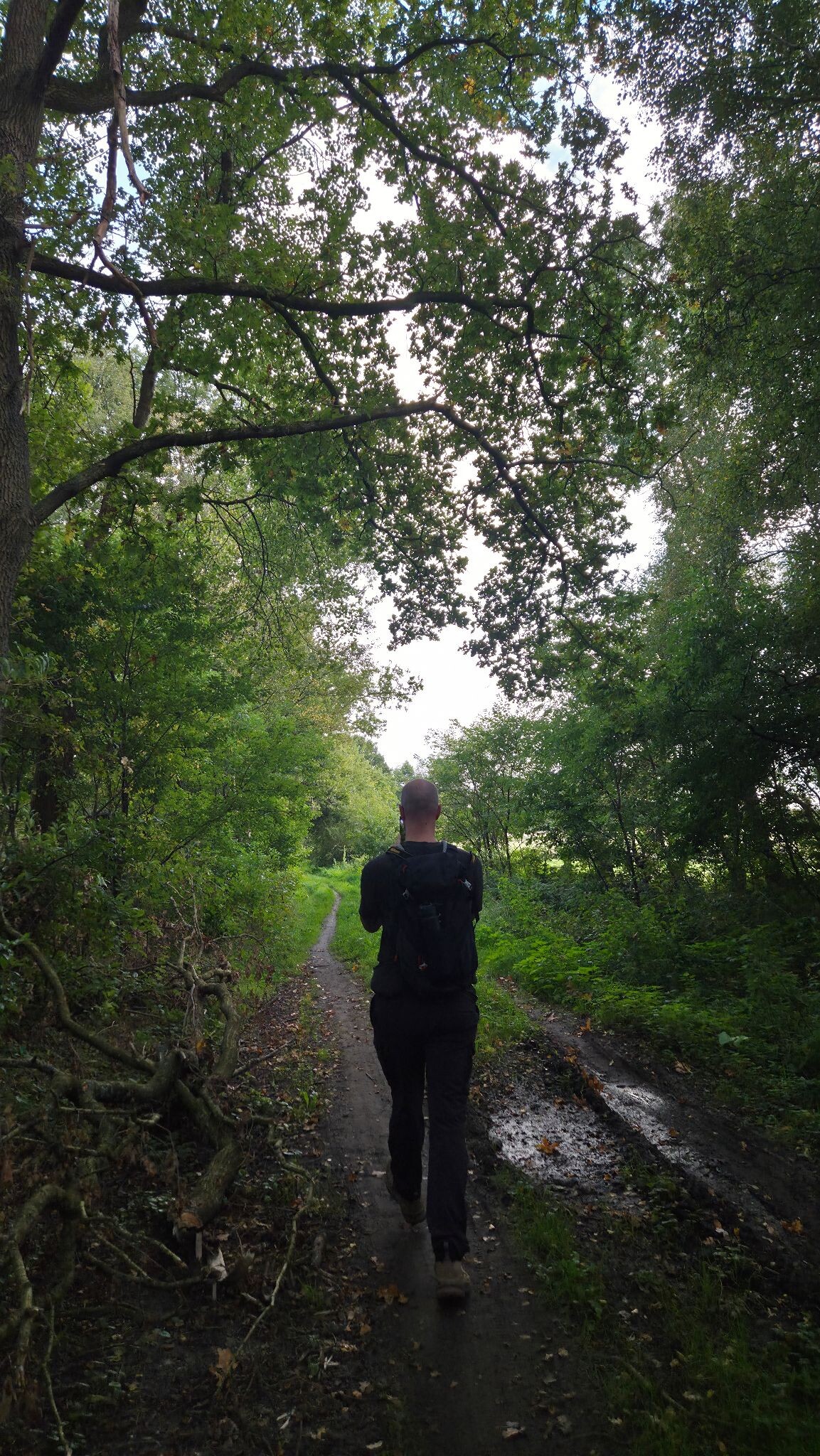 Wandelroute Andersche Diep