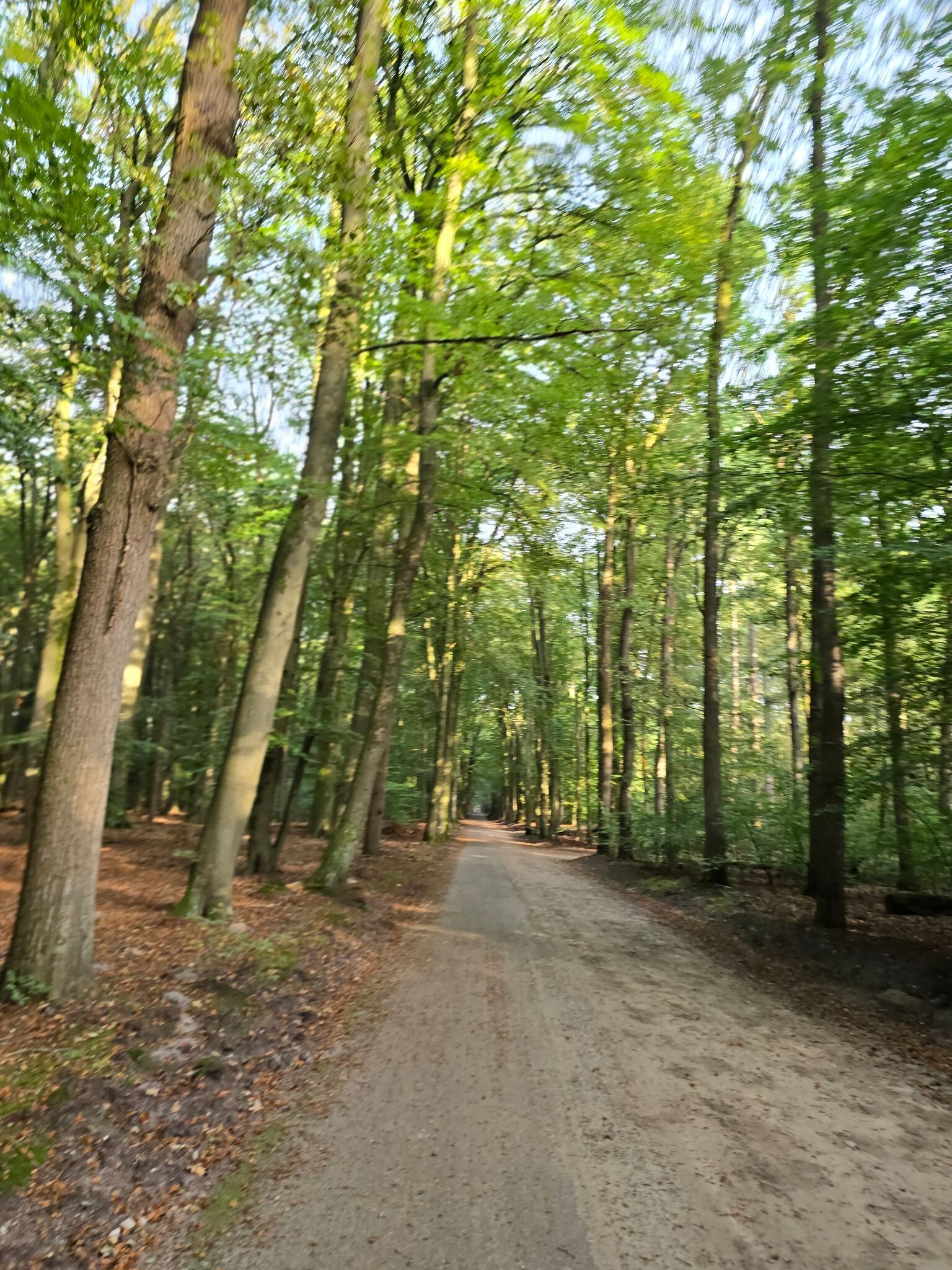 Leuvenum - Elspeet · Veluwe Zwerfpad etappe 9