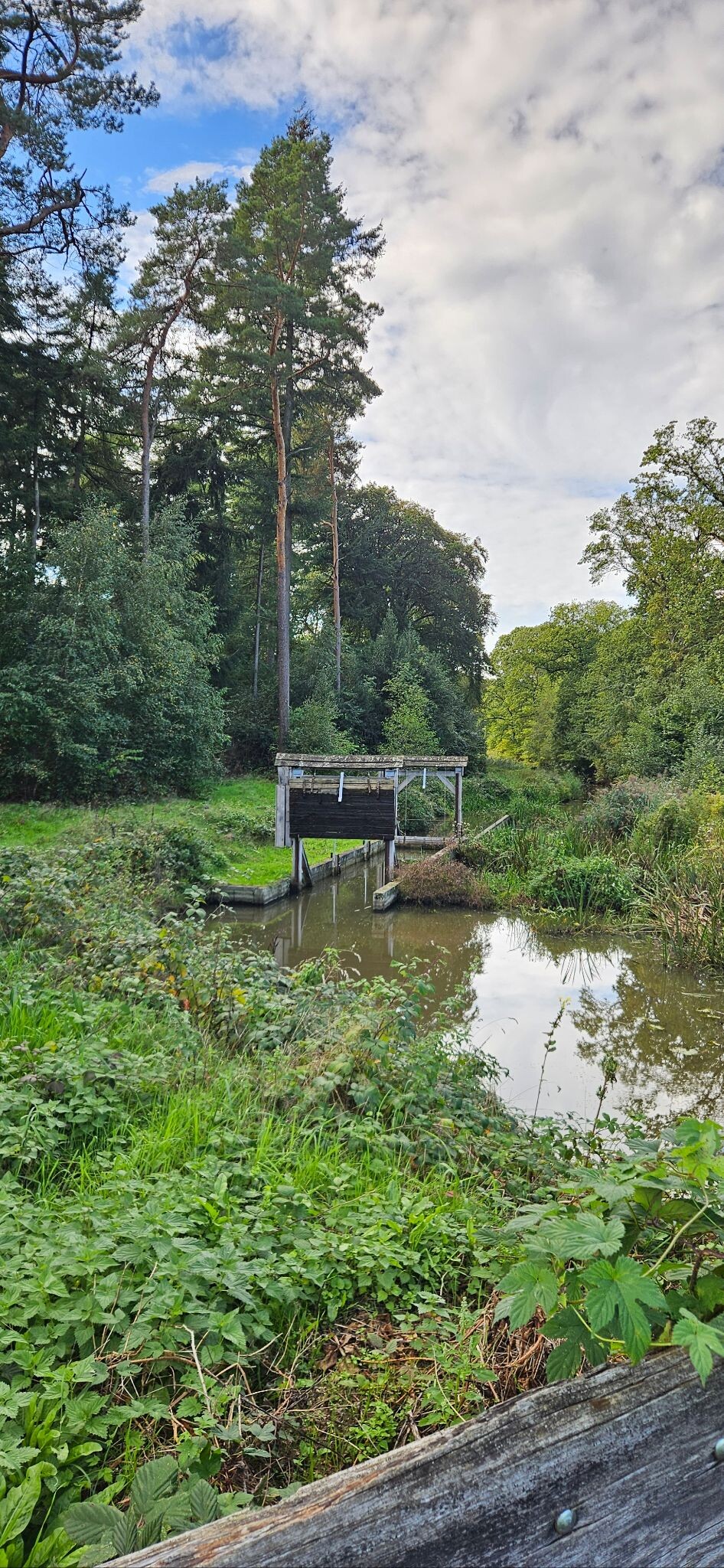 Watermolen - Oranje