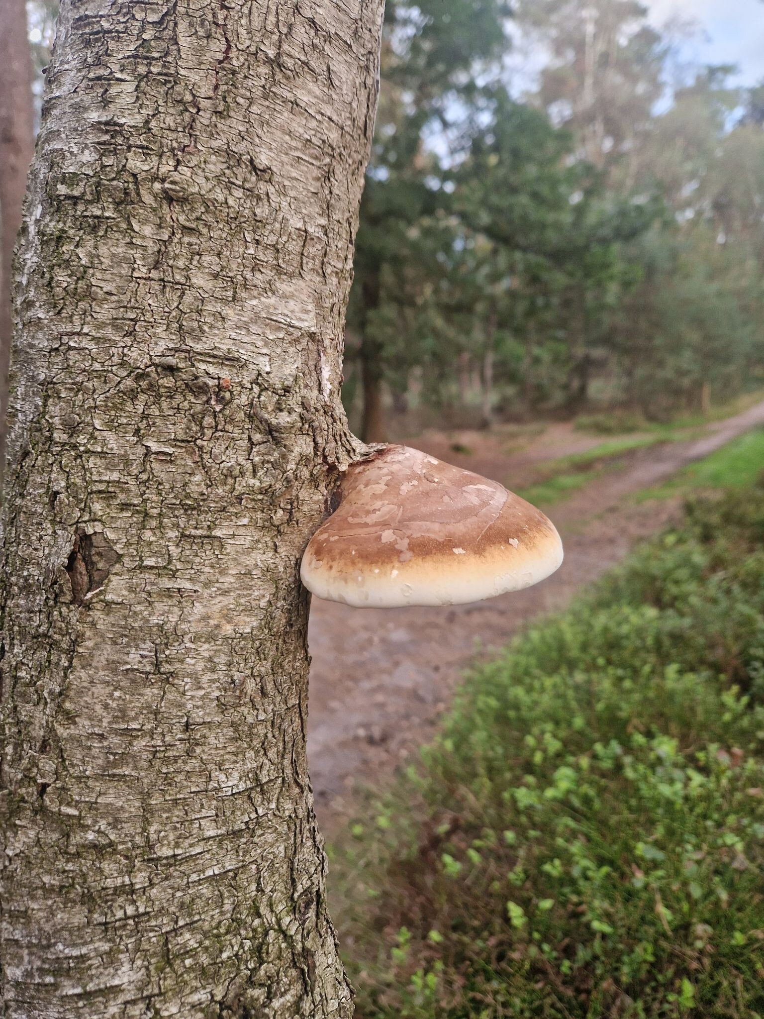 Wandelroute Numendalwandeling