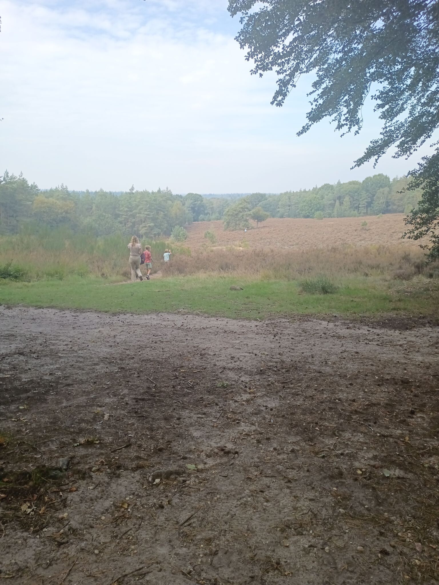 Boswachterspad Landal Amerongse Berg 