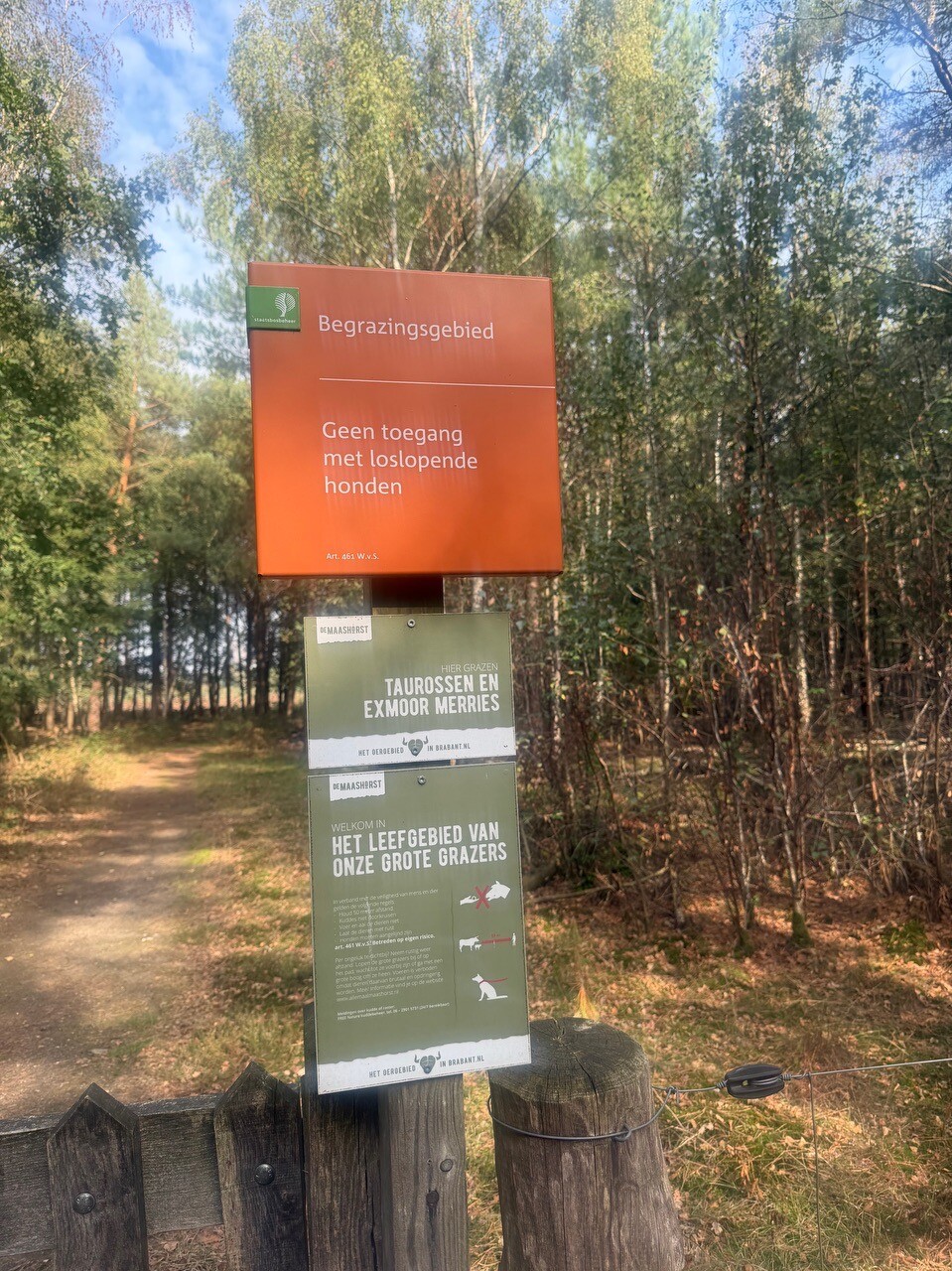 Foto van opname