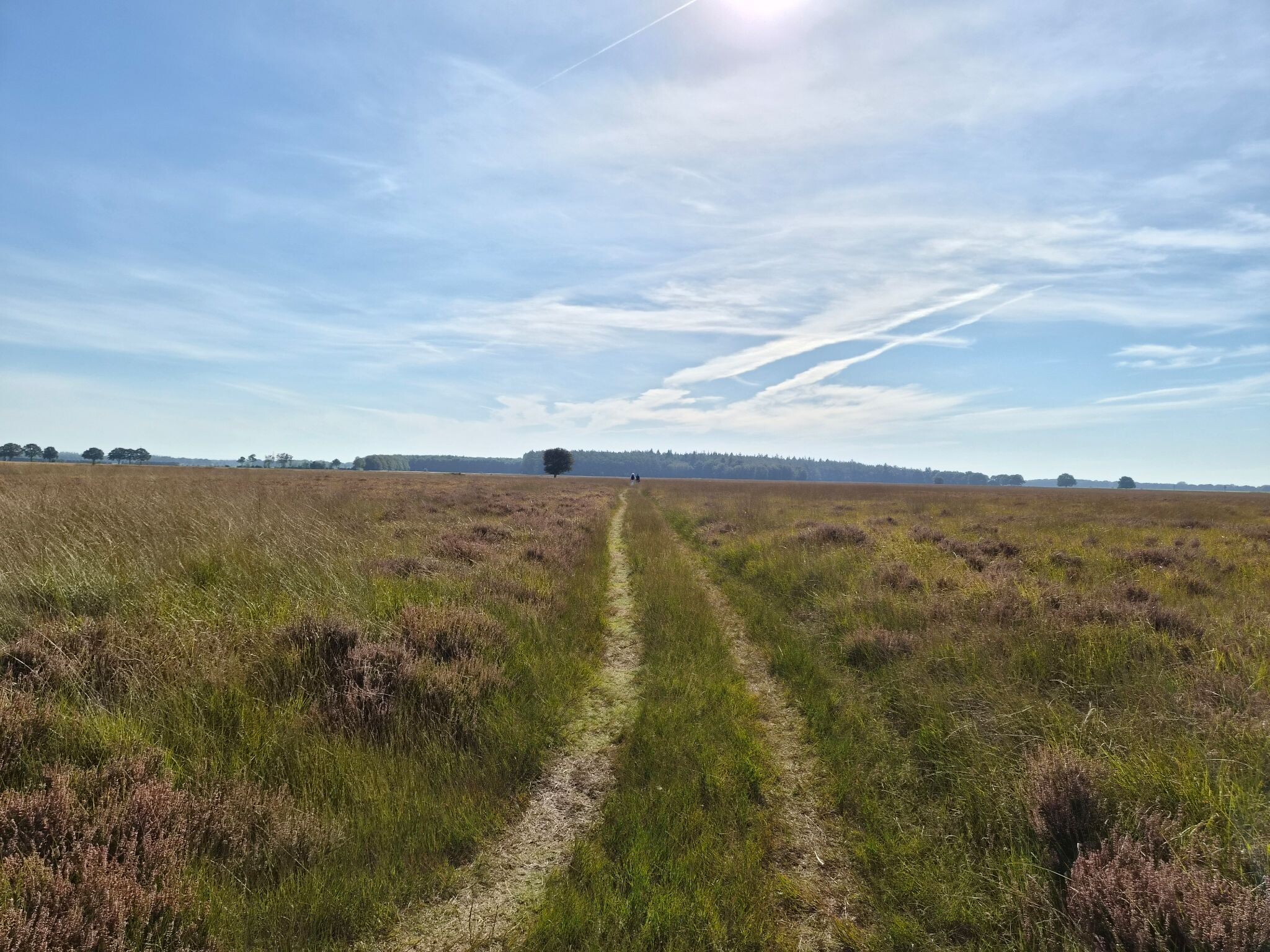 Hijken: Hijkerveld