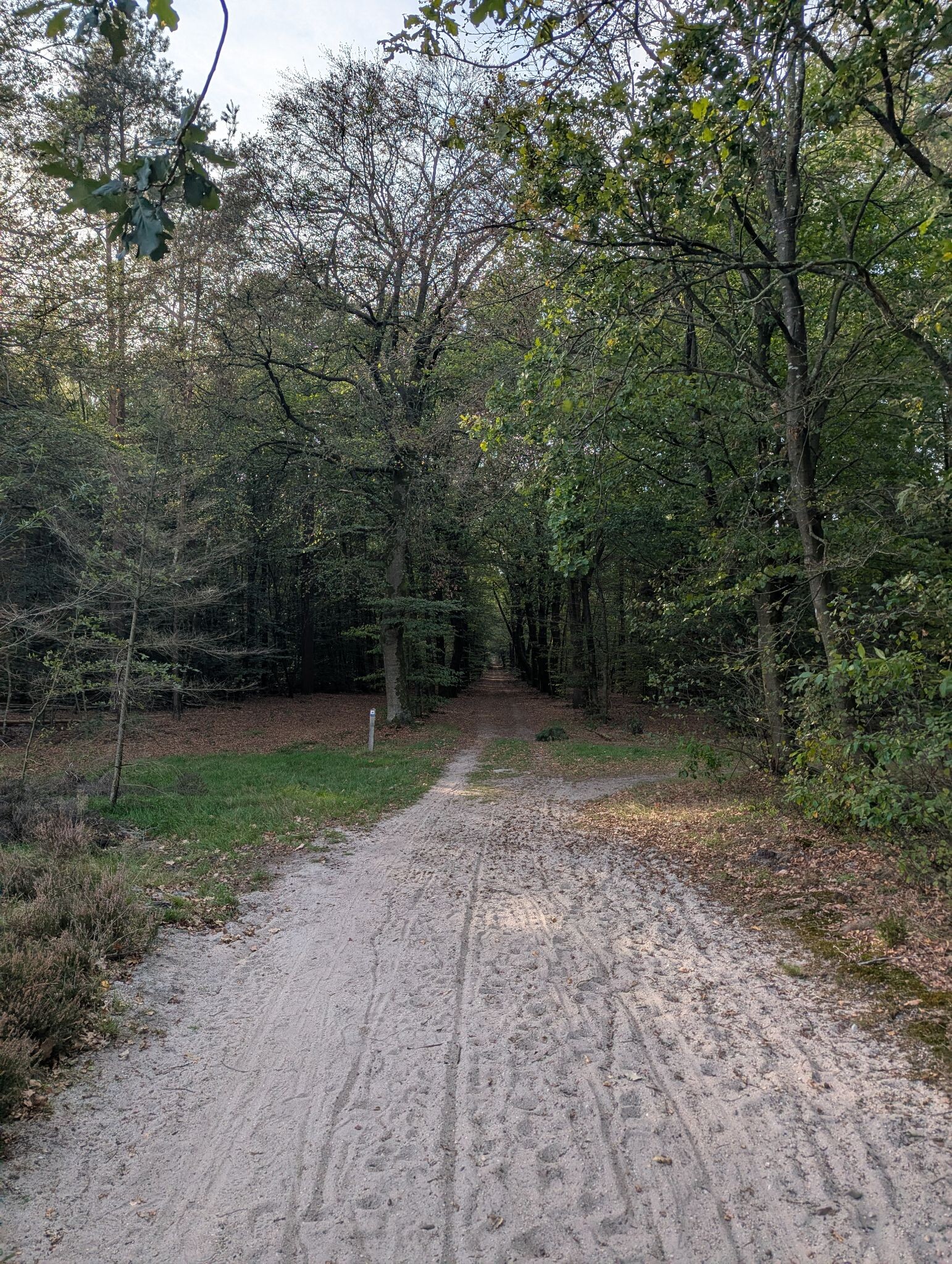 Foto van opname