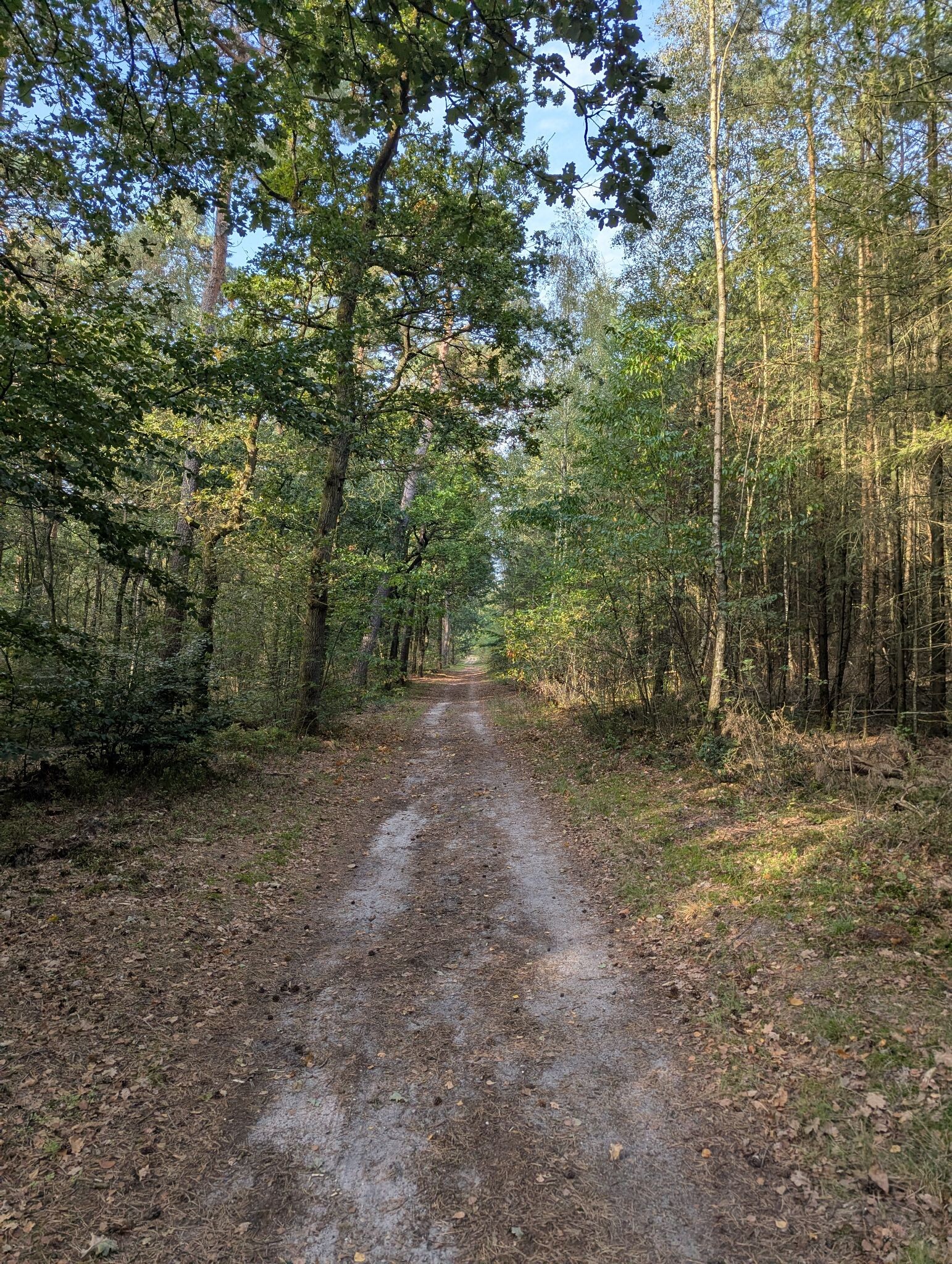Rode wandelroute - Landgoed Petrea