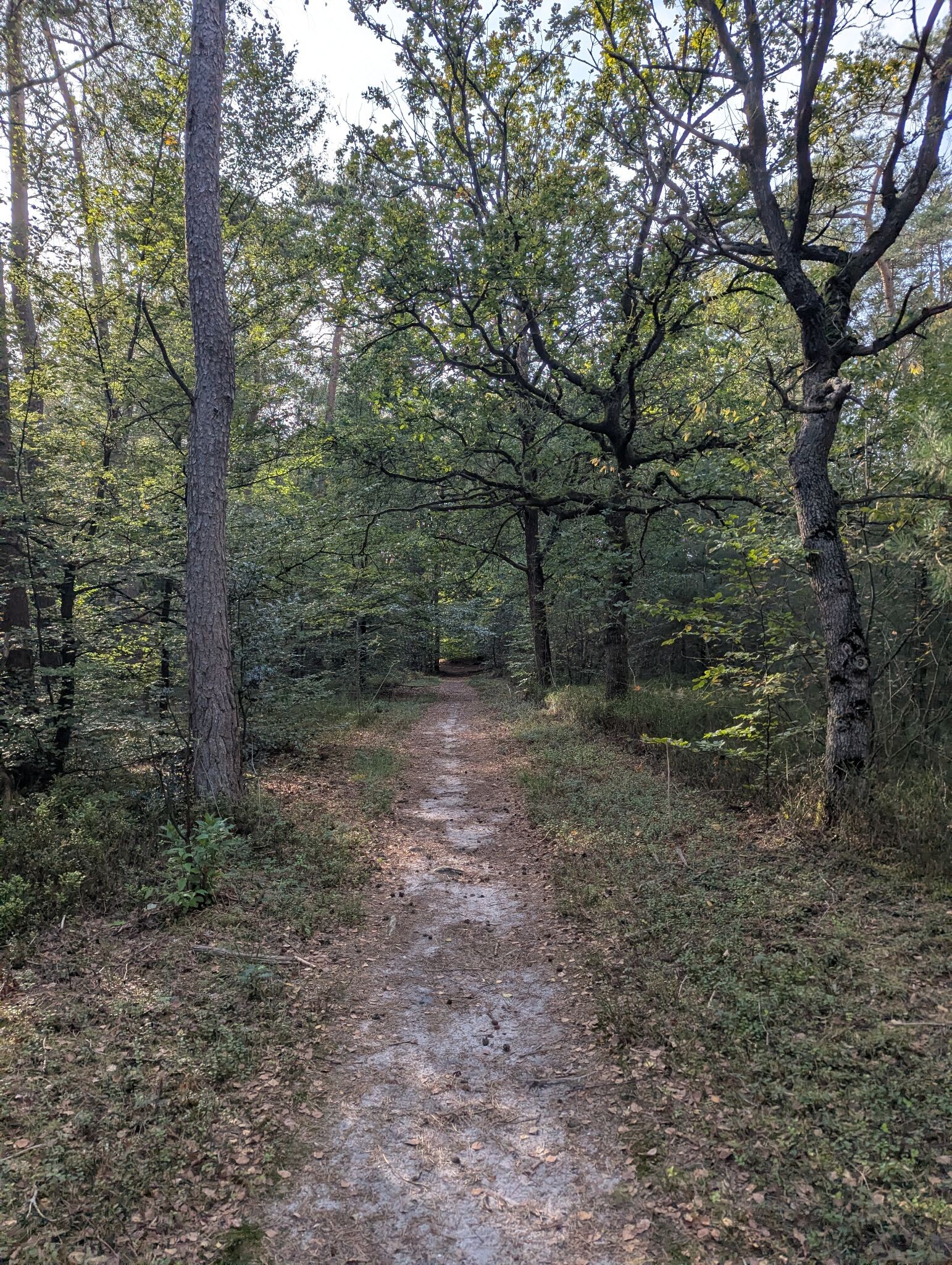 Rode wandelroute - Landgoed Petrea