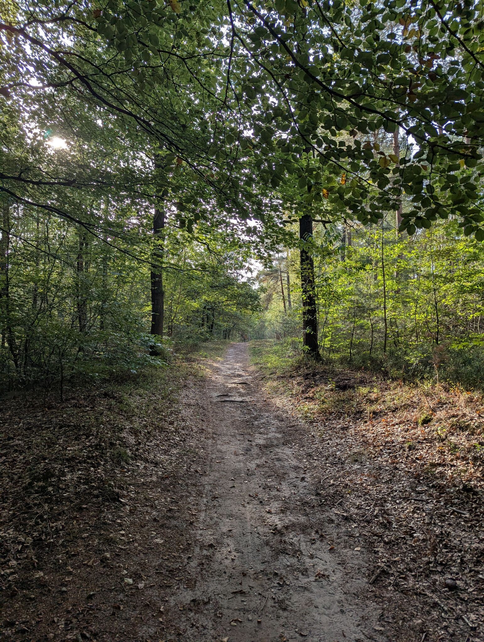Rode wandelroute - Landgoed Petrea