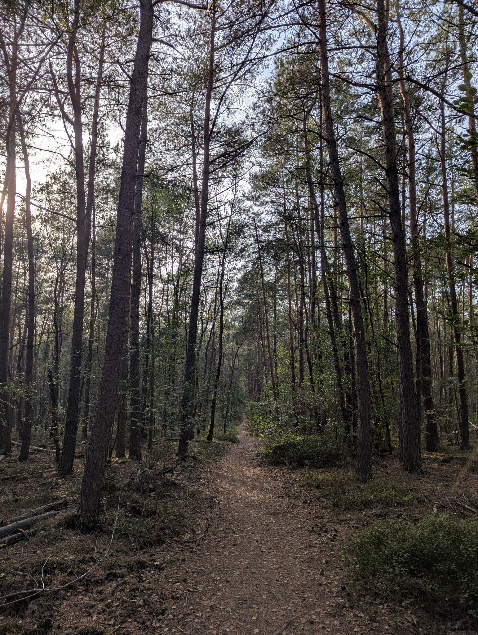 Foto van opname