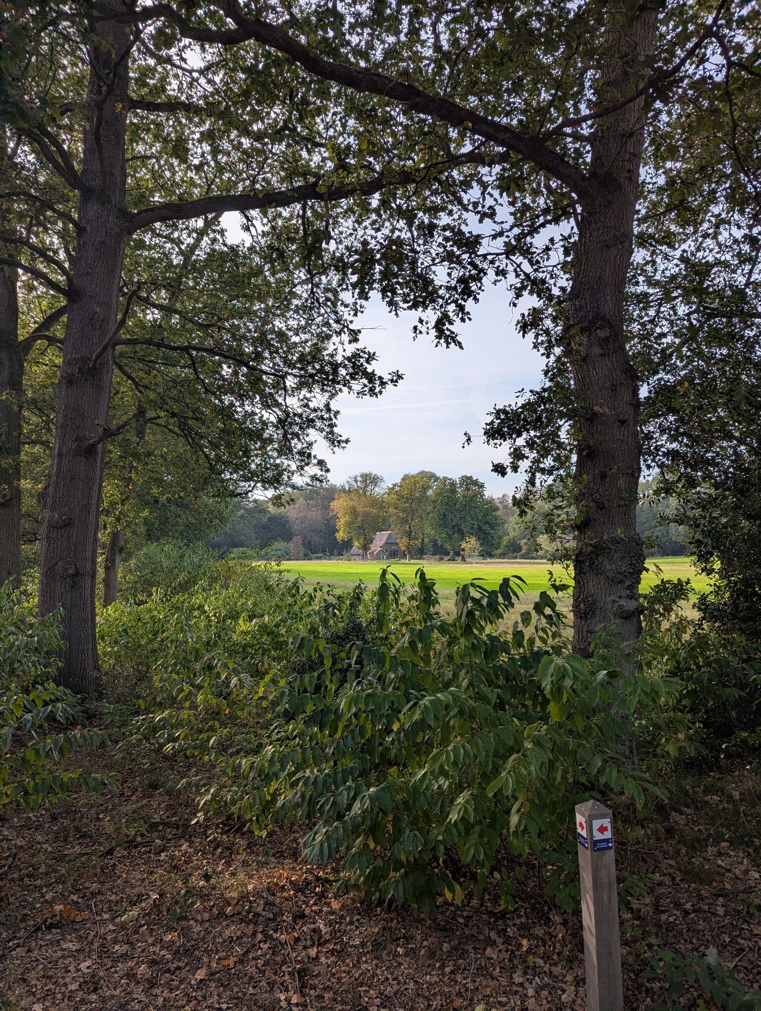 Wapenveld