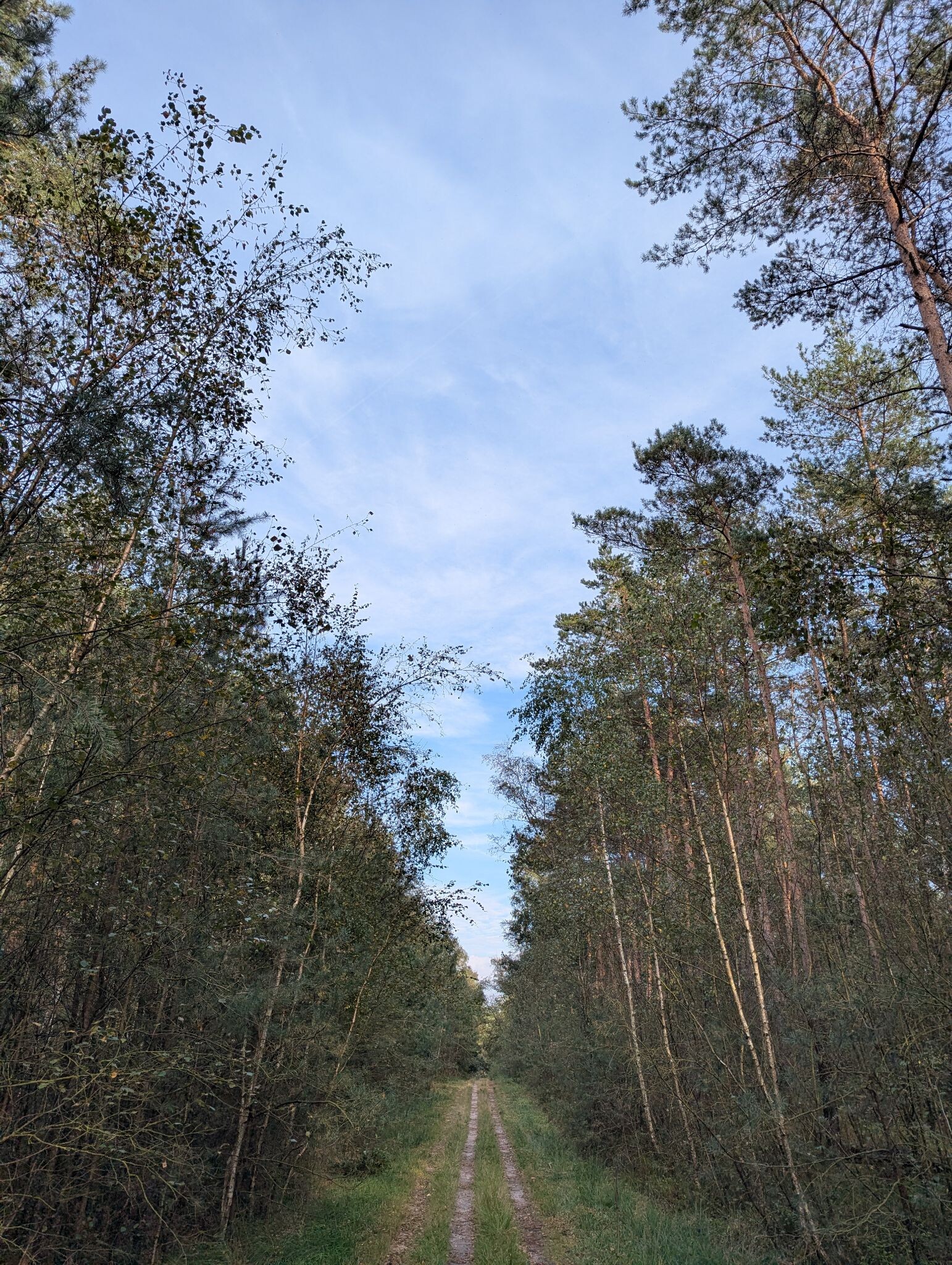 Rode wandelroute - Landgoed Petrea