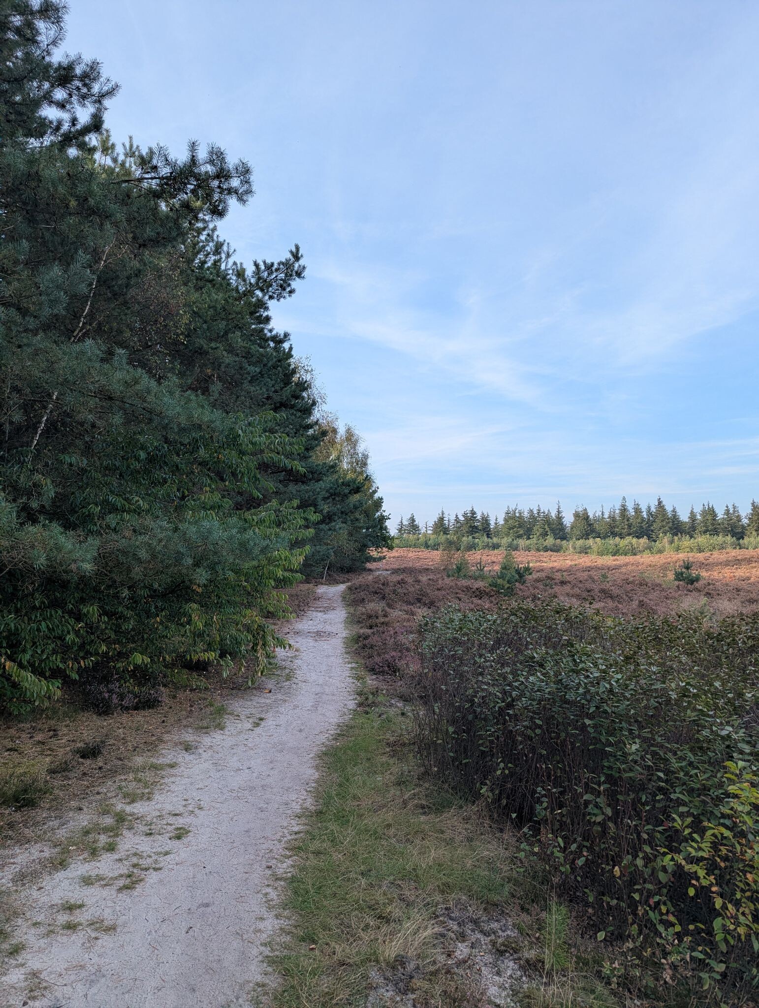 Wapenveld