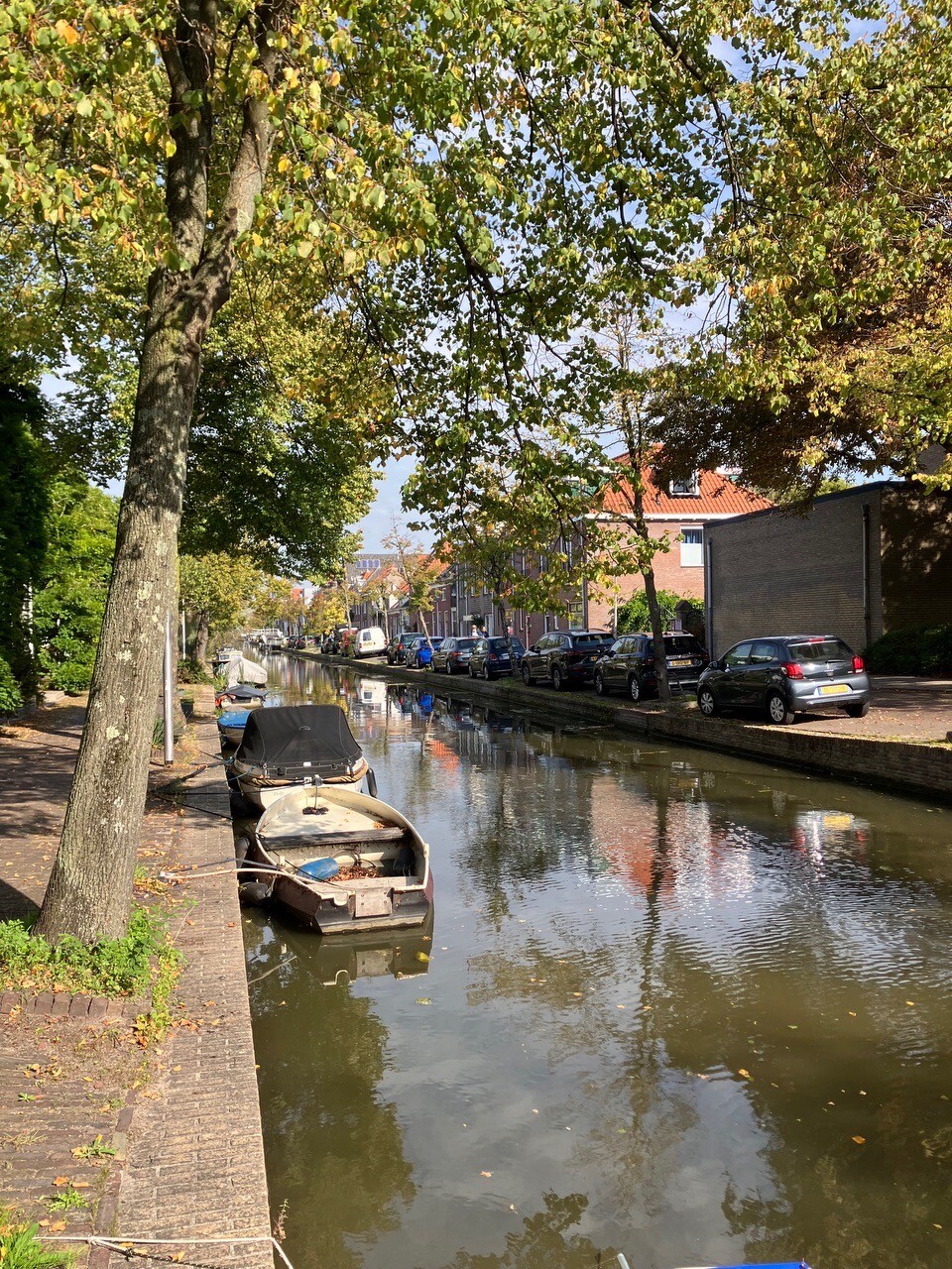 Maasland