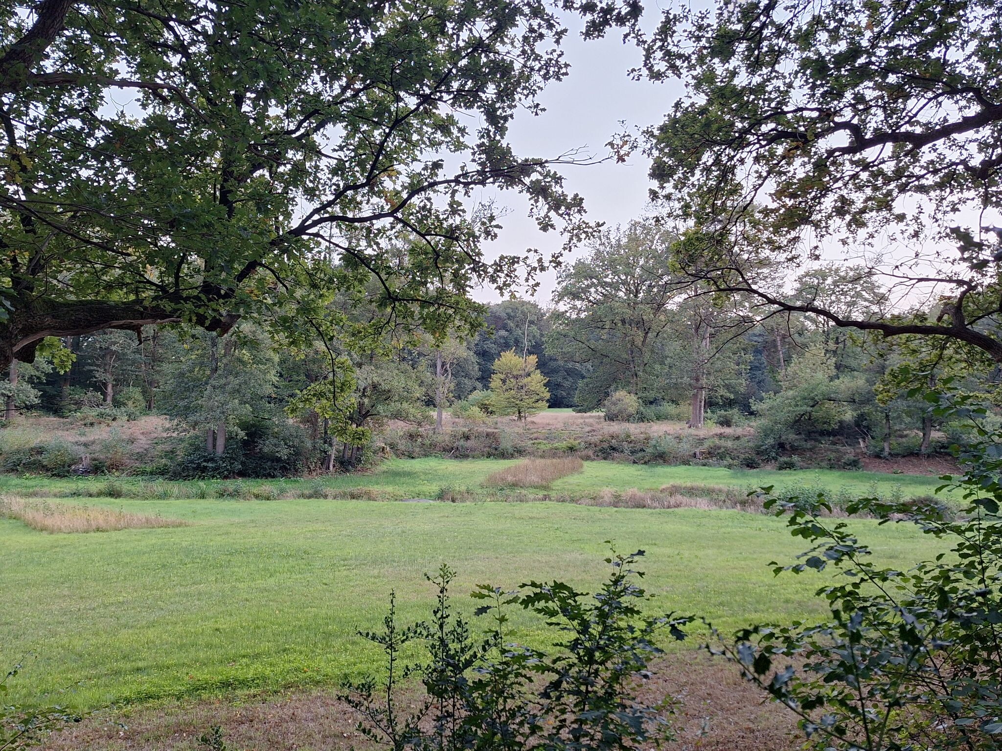Manderveen naar Ootmarsum - "Buiten gewoon" · NederRandpad etappe 9