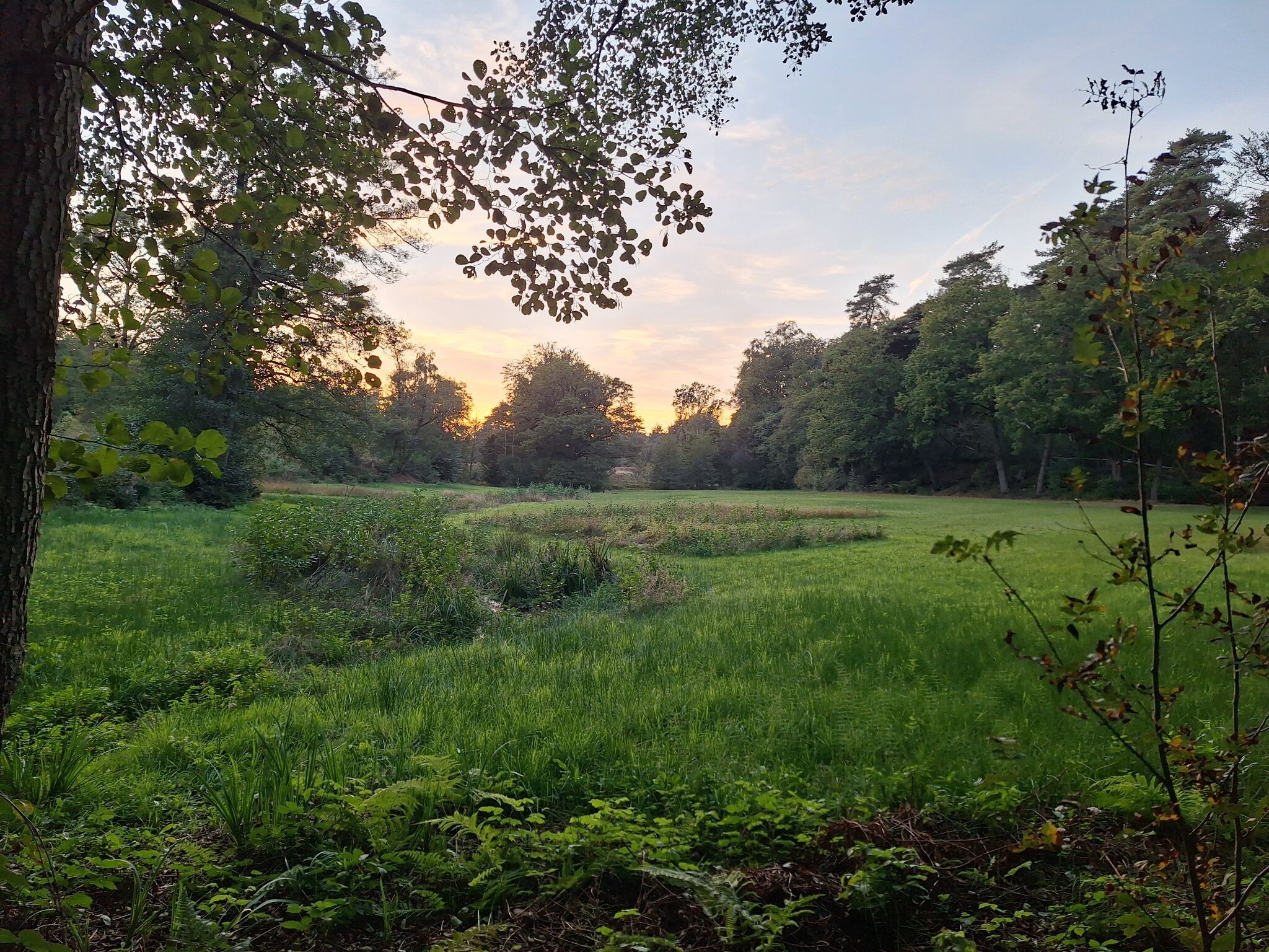Rossum - Dal van Mosbeek - Tubbergen · Hilligenpad etappe 3