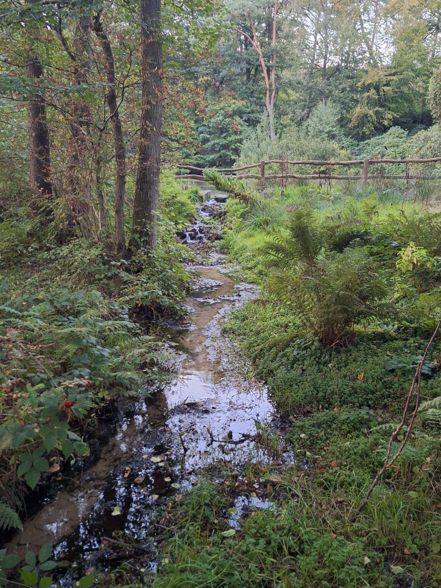 Rossum - Dal van Mosbeek - Tubbergen · Hilligenpad etappe 3