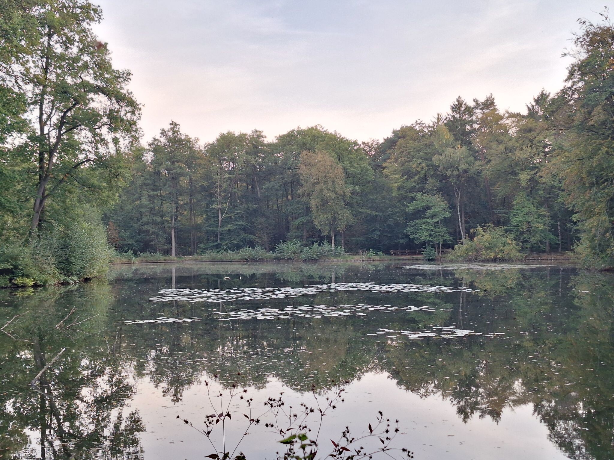 Wandelroute Springendal Bronnenroute
