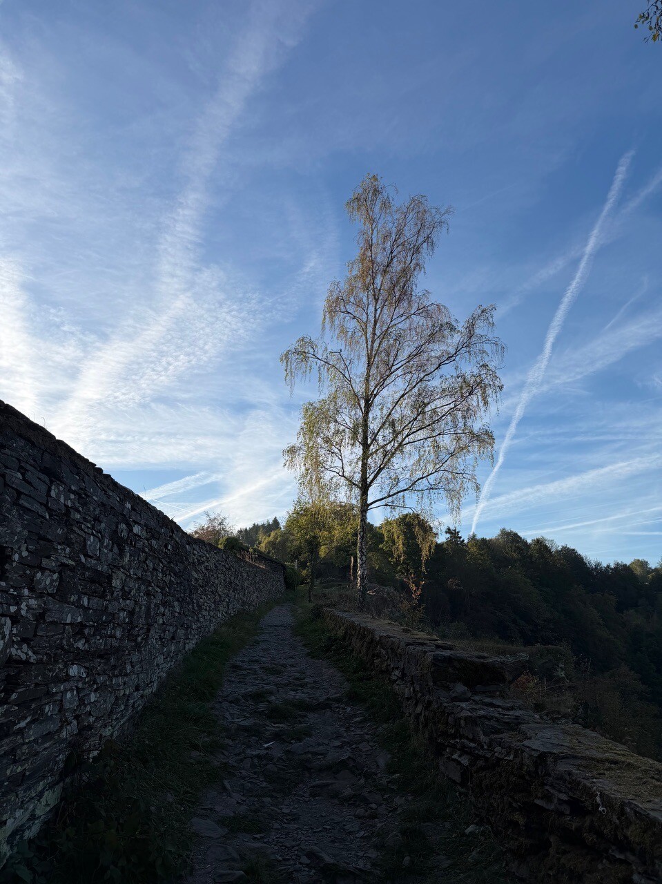 Unterwegs in Monschau [35]