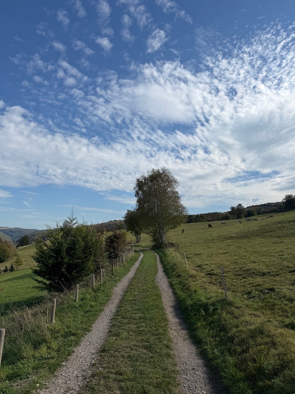 Monschau - Einruhr · Eifelsteig etappe 3
