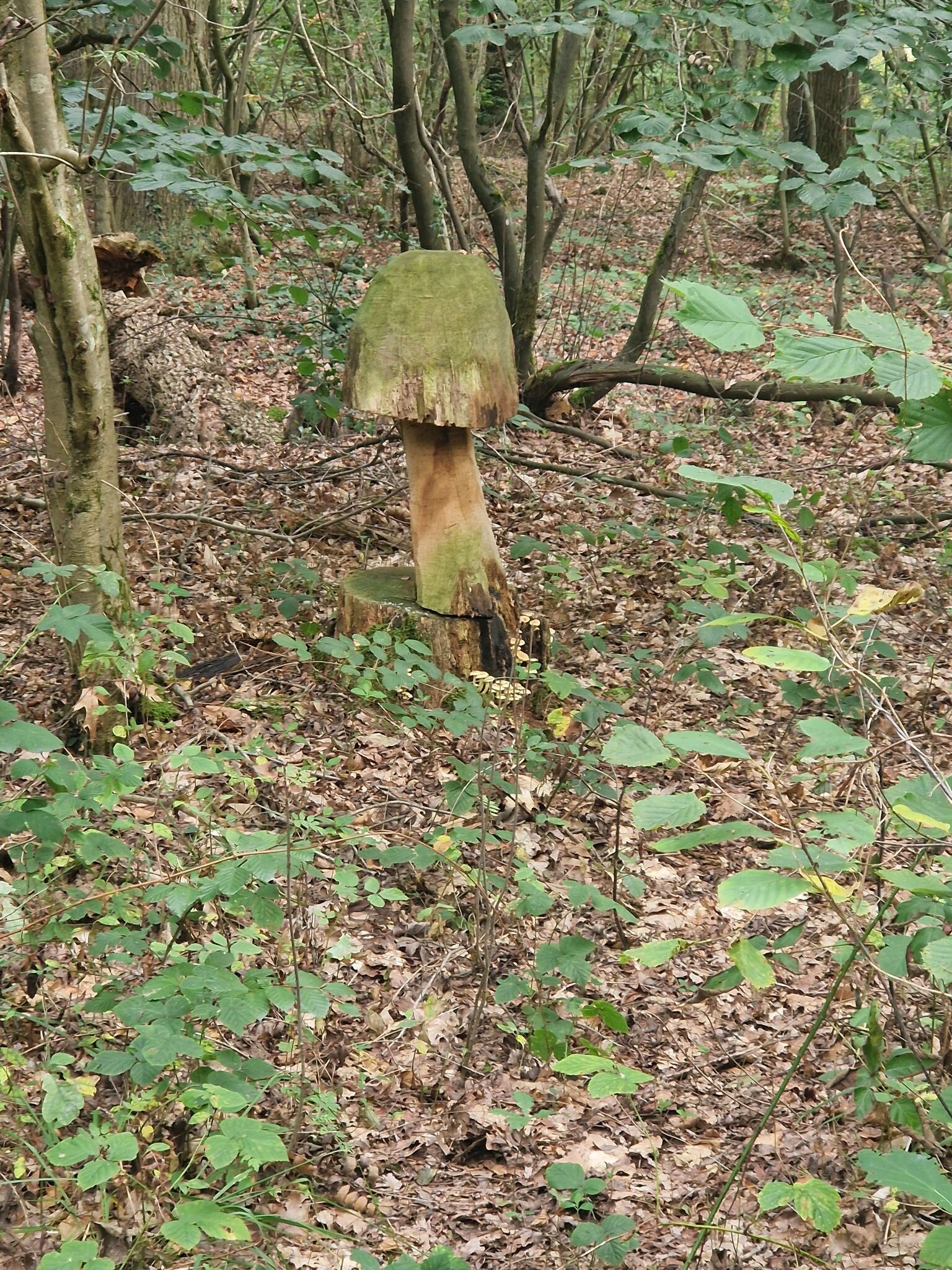 Foto van opname