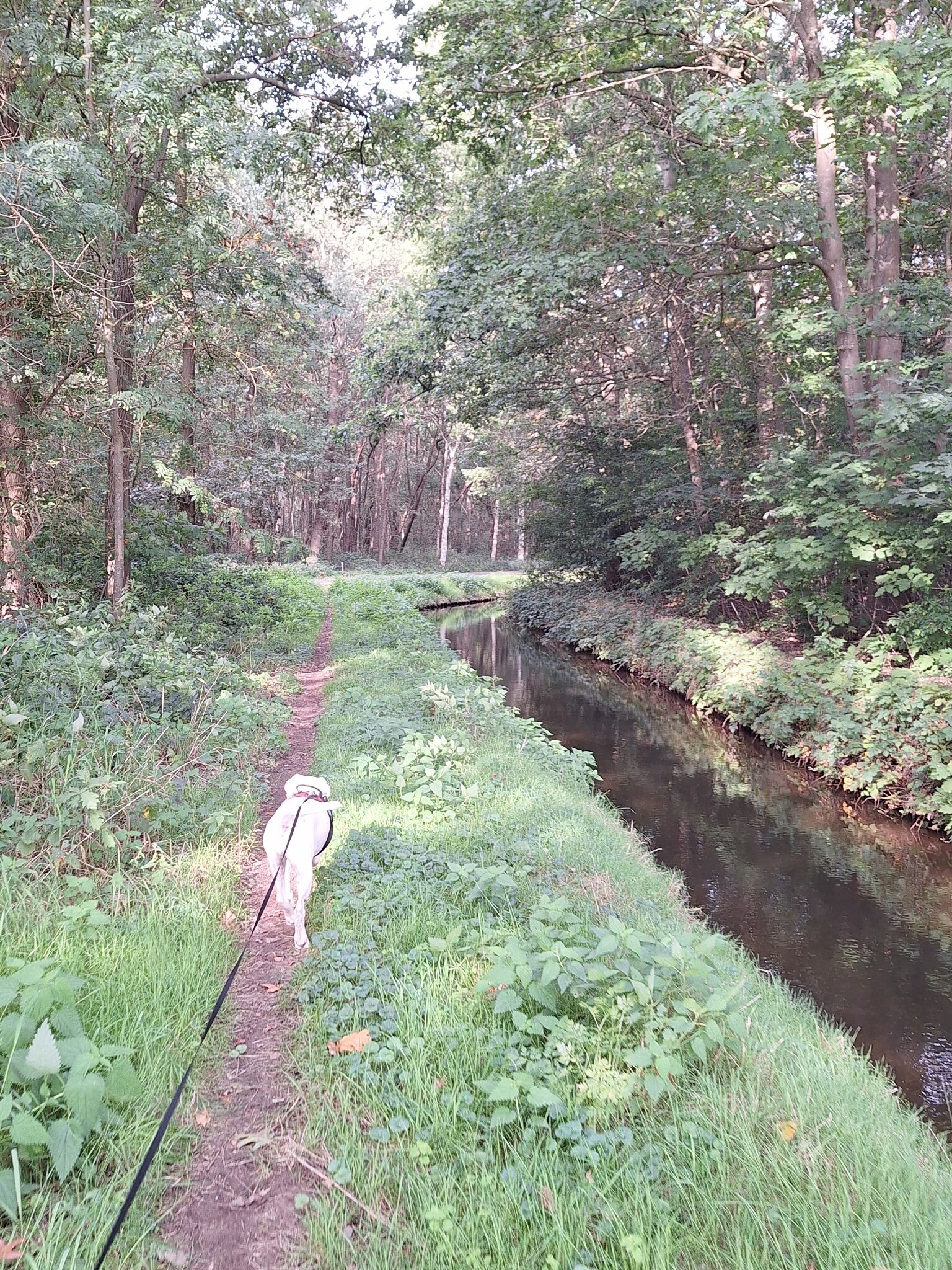 Foto van opname