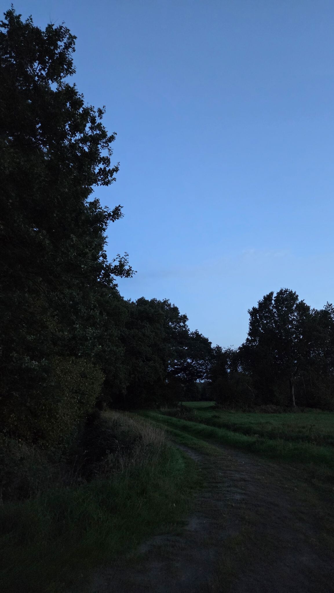 Foto van opname
