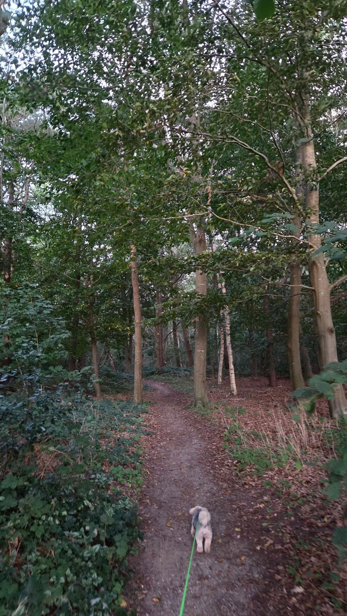 Foto van opname