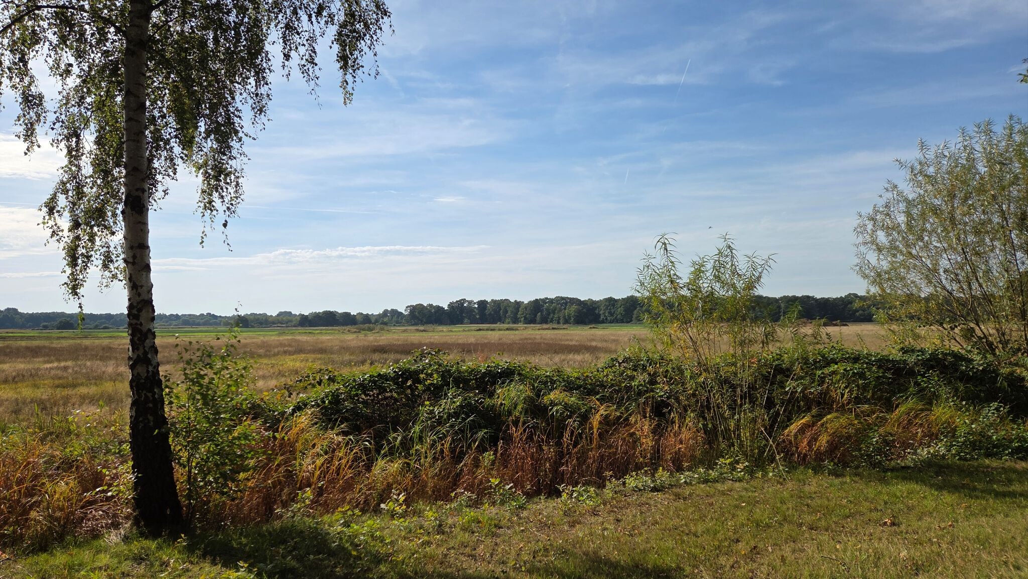 Boswachterspad Holle Beetse Vennekampen 