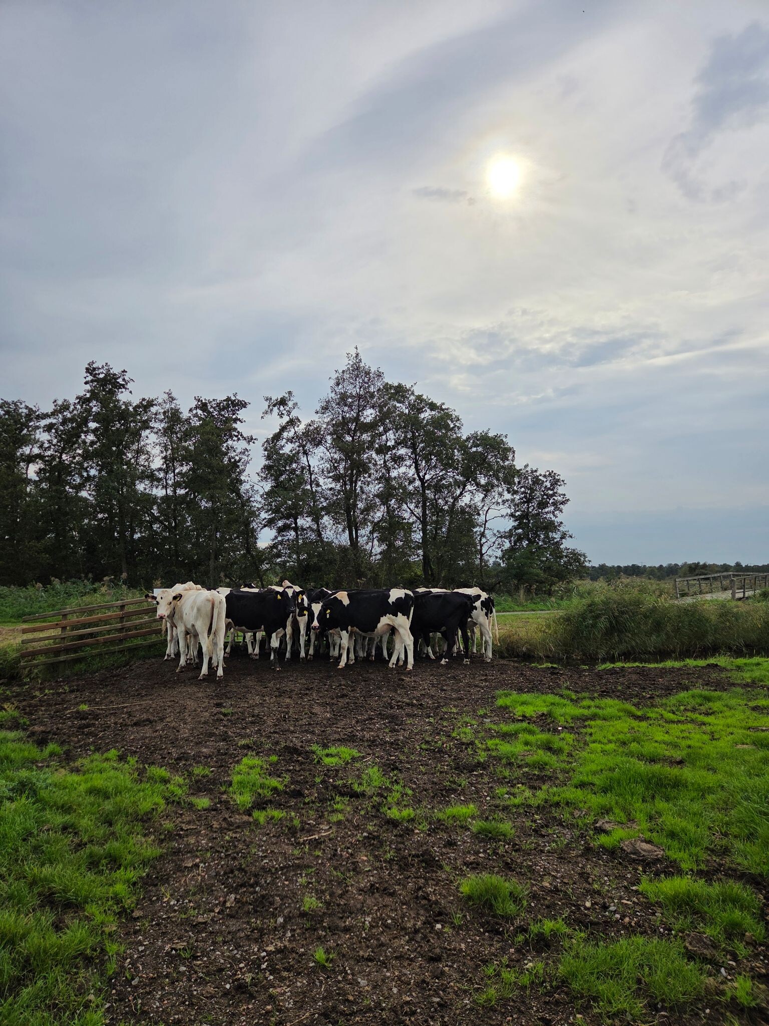 Wormer - Den Ilp · Trekvogelpad etappe 4