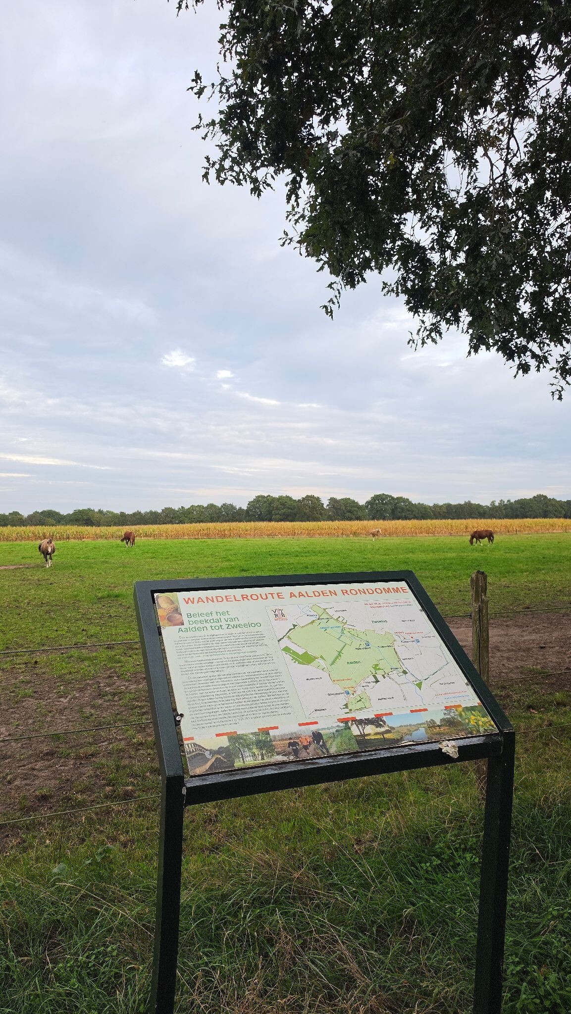 Cultuurpad Coevorden, matige etappe
