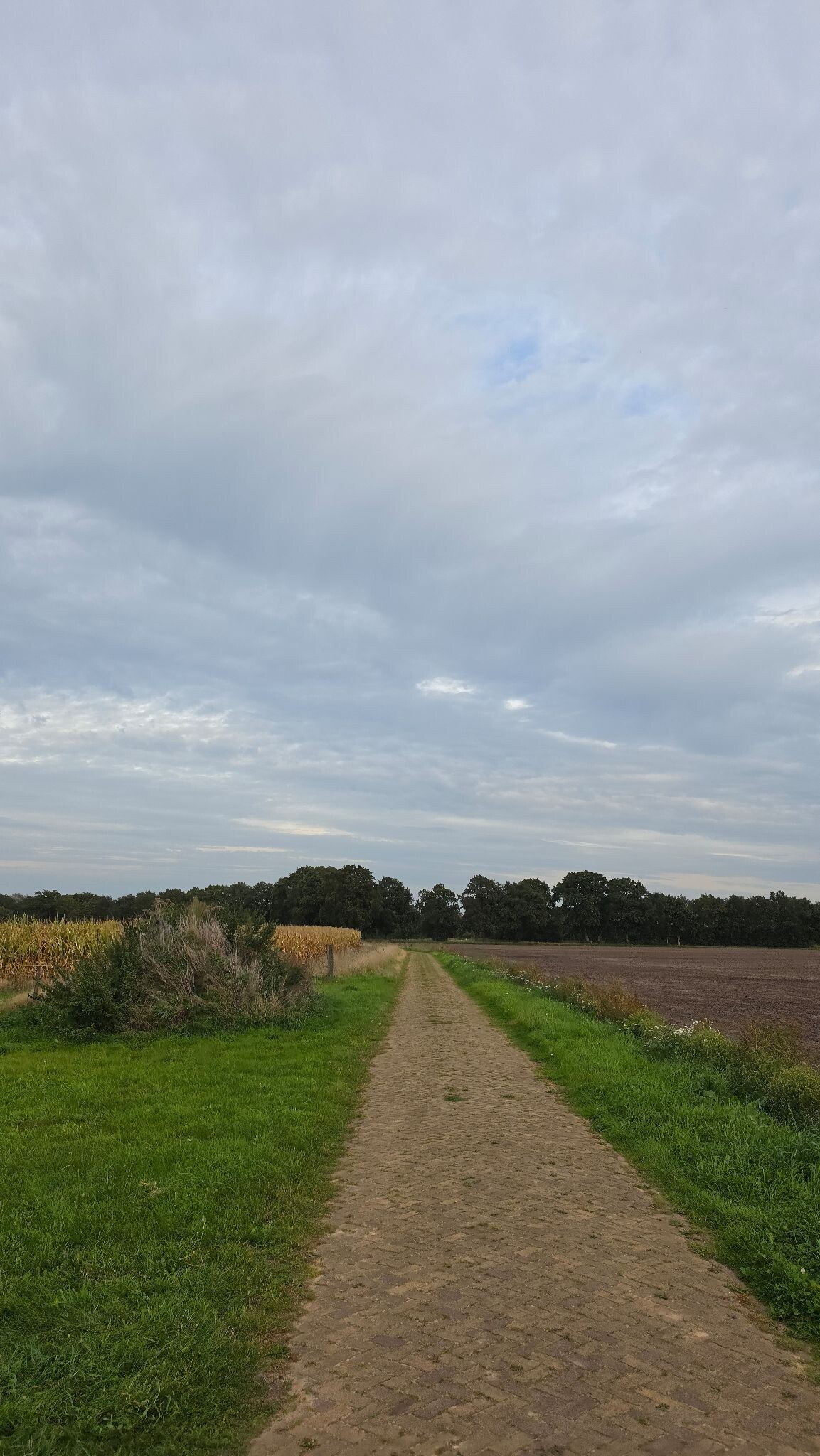 Cultuurpad Coevorden, matige etappe