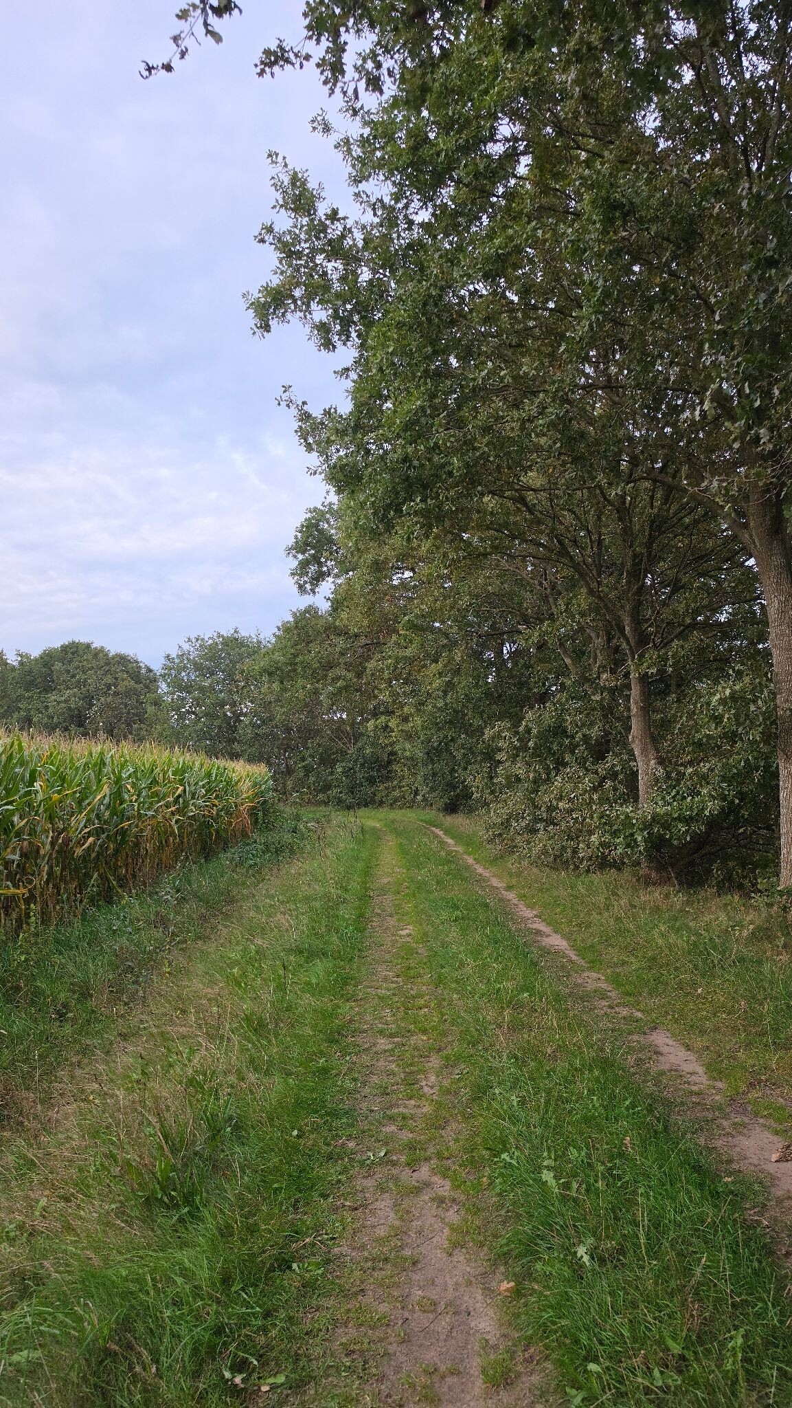 Cultuurpad Coevorden, matige etappe